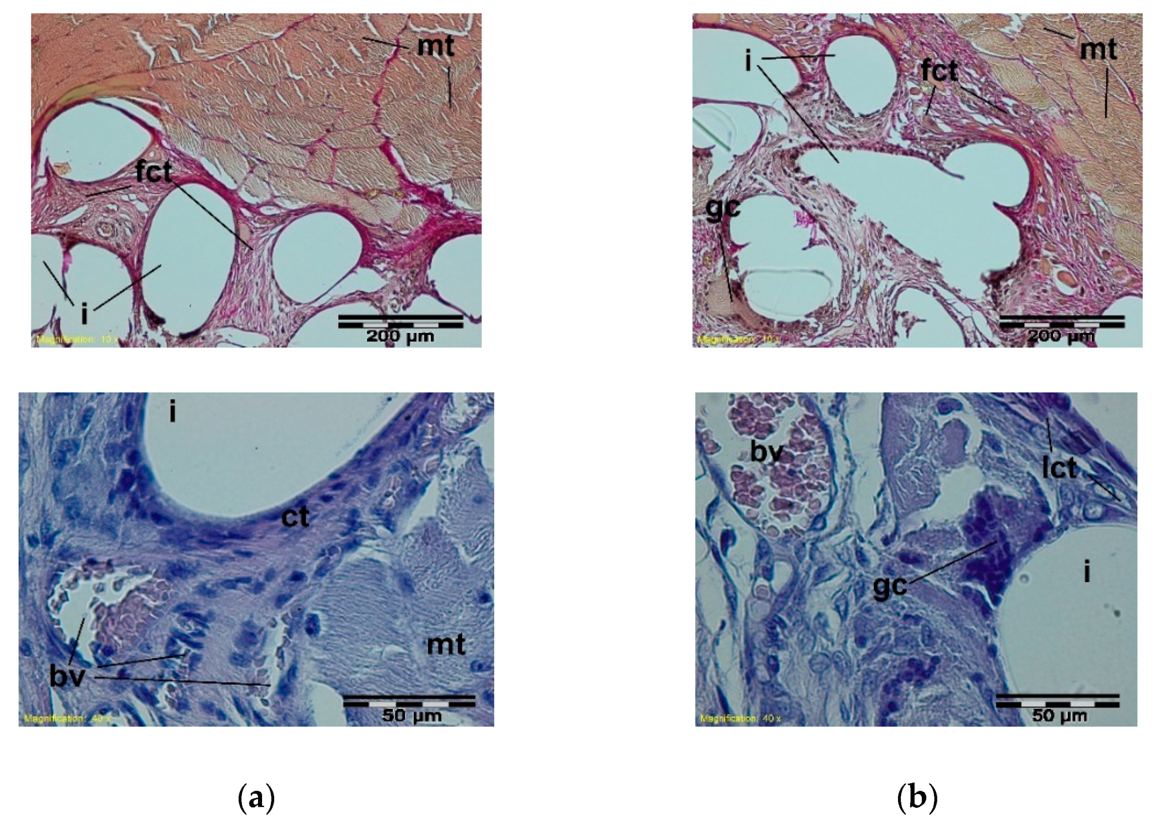 Materials 15 02671 g007
