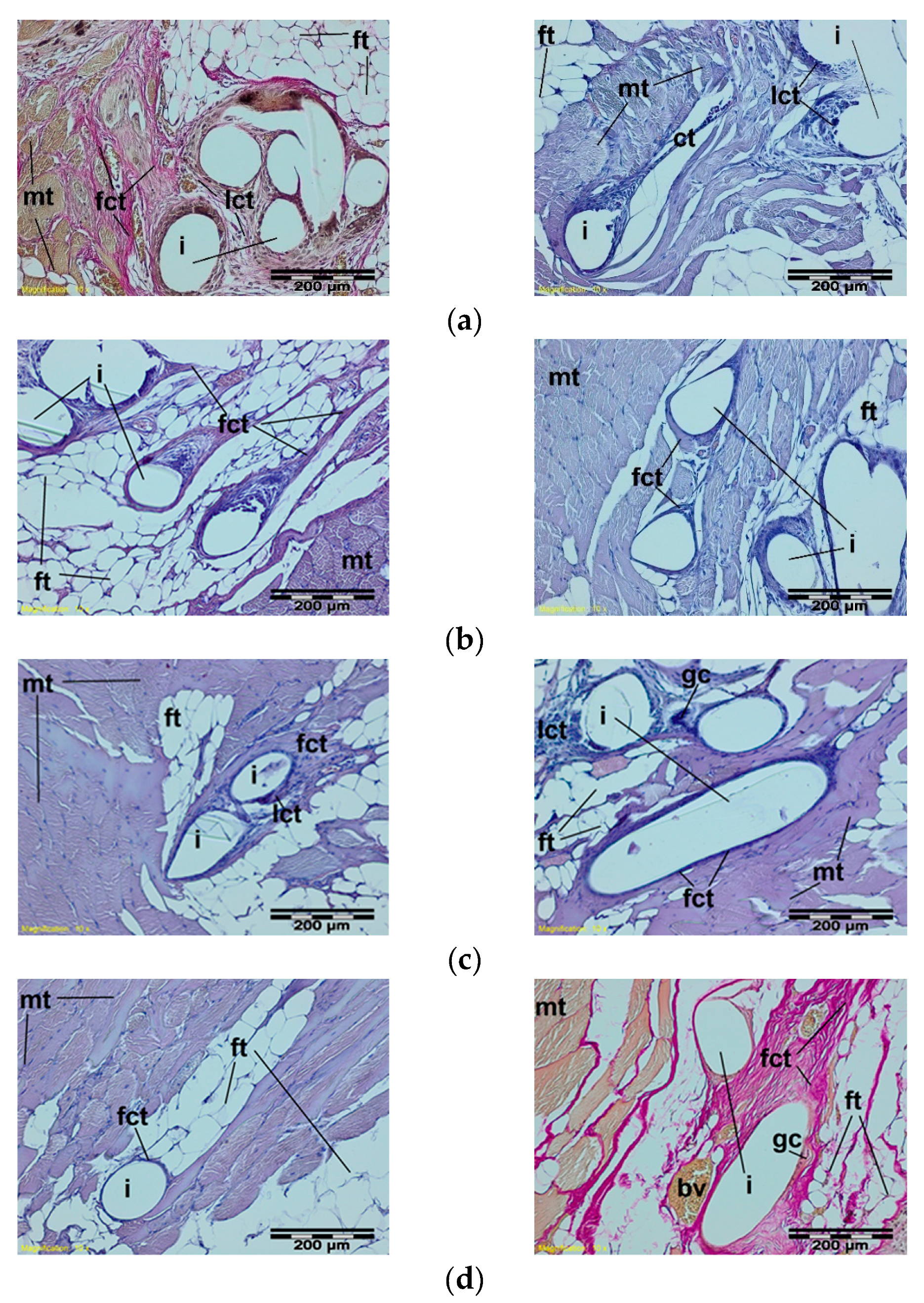 Materials 15 02671 g008