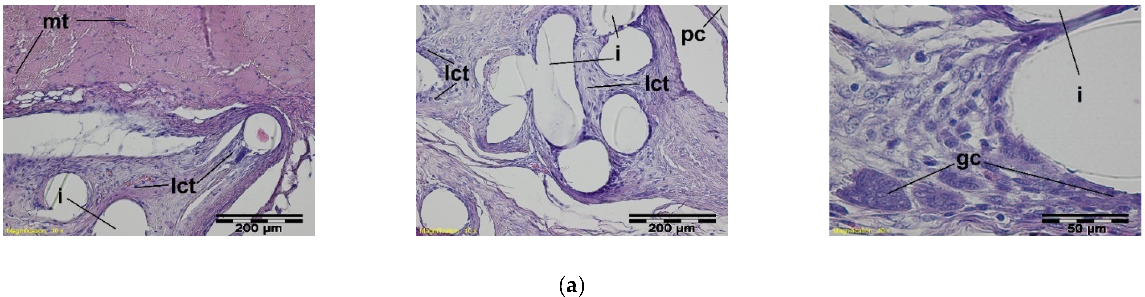 Materials 15 02671 g009a
