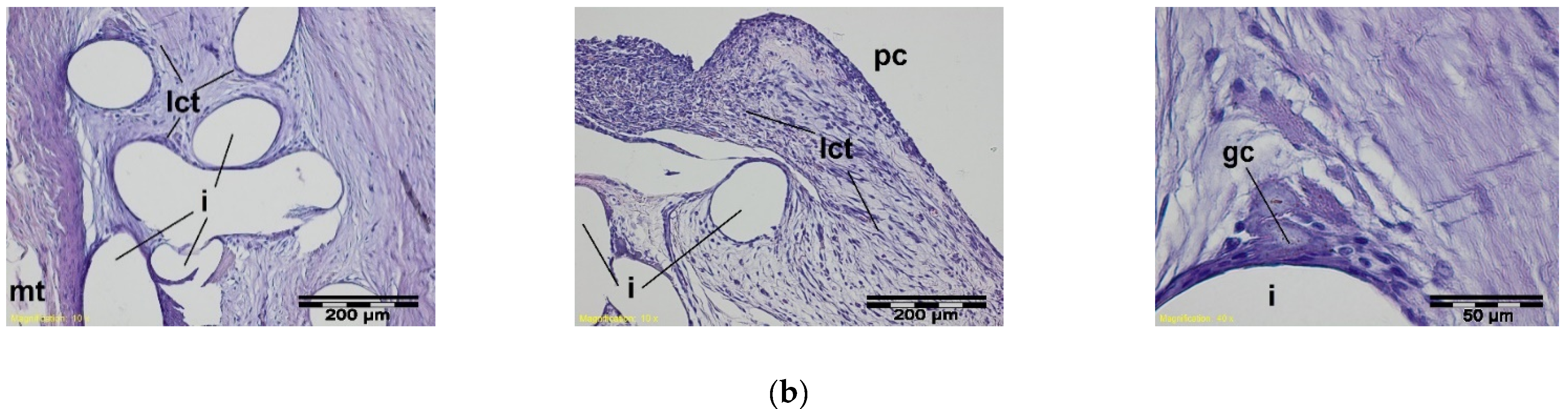 Materials 15 02671 g009b