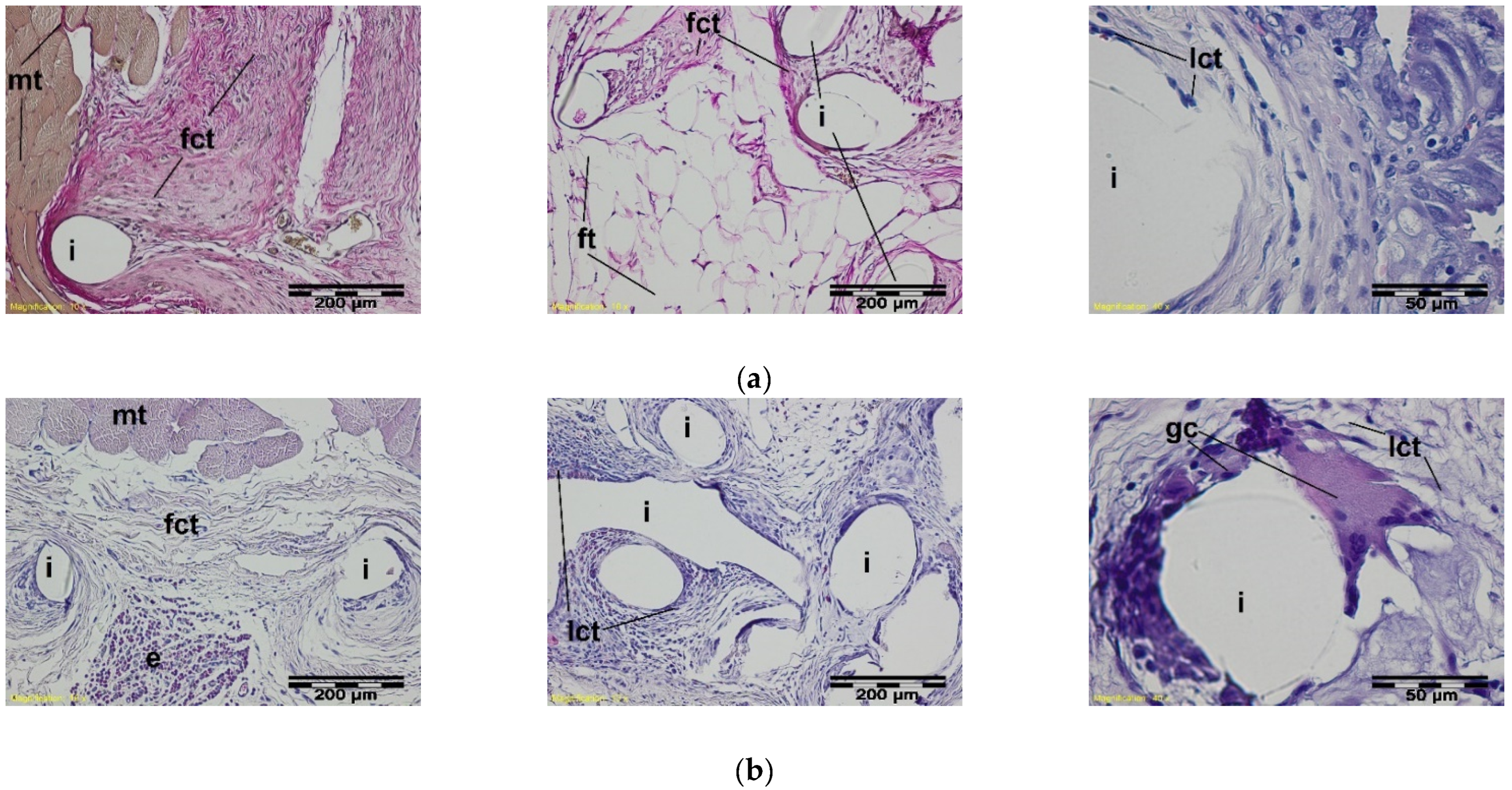 Materials 15 02671 g010