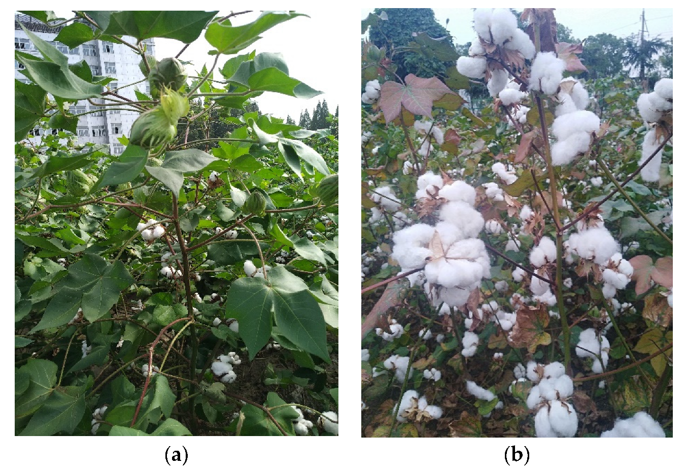 Materials 15 02685 g001