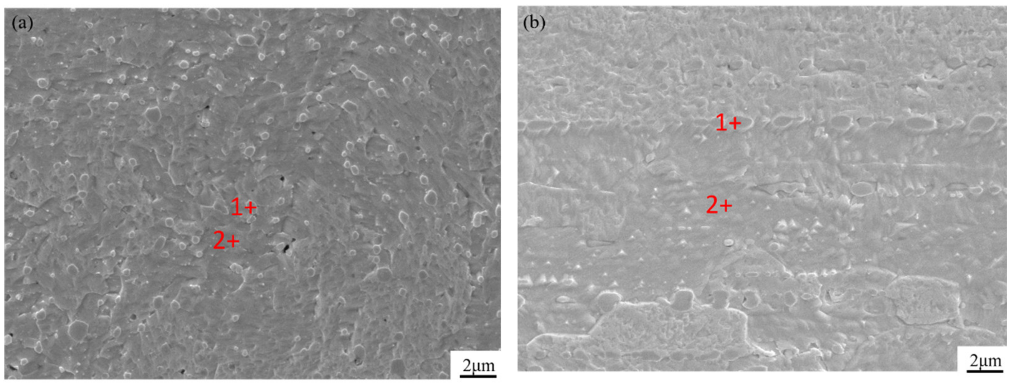 Materials Free FullText Study on Morphology and Chemical States of