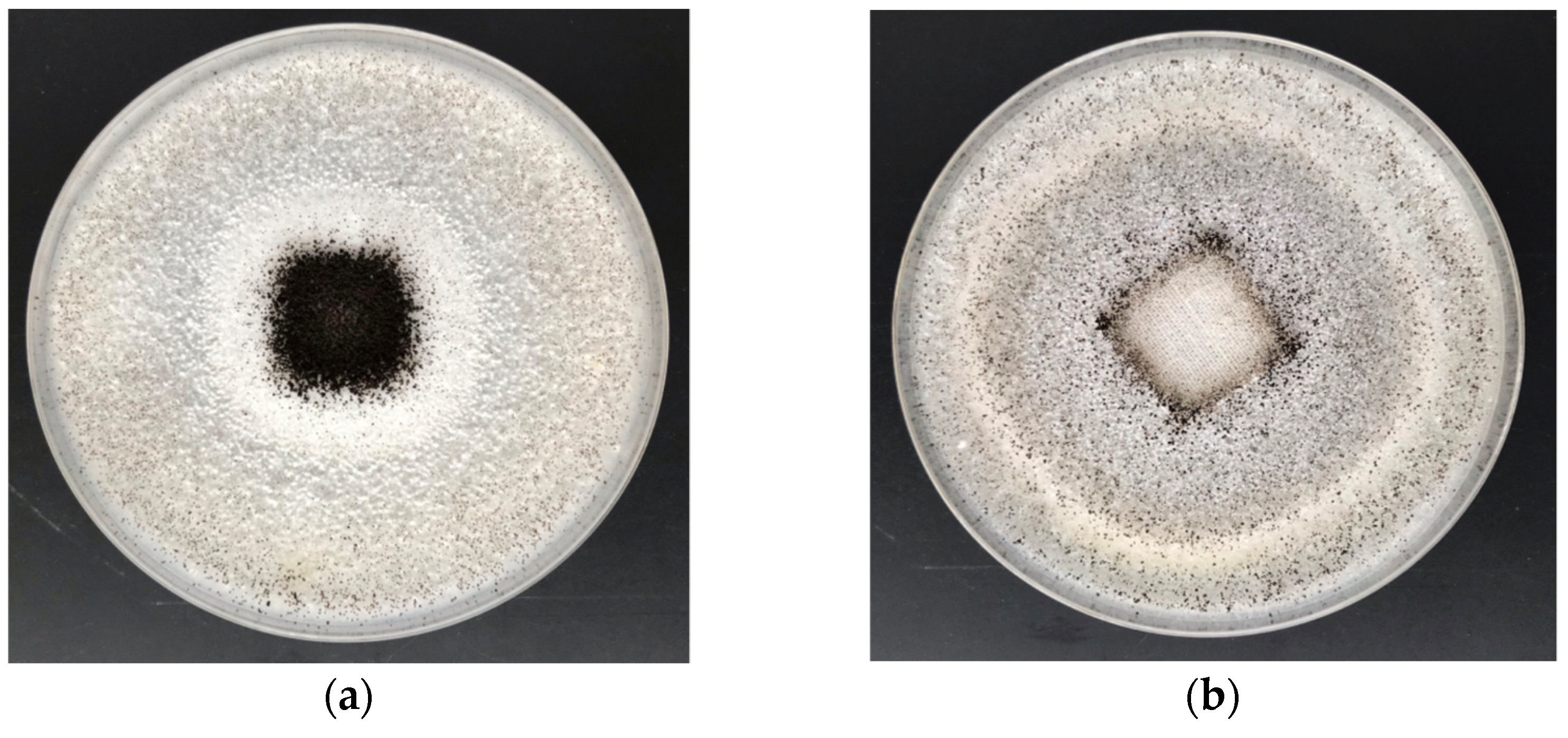 Materials 15 02746 g007