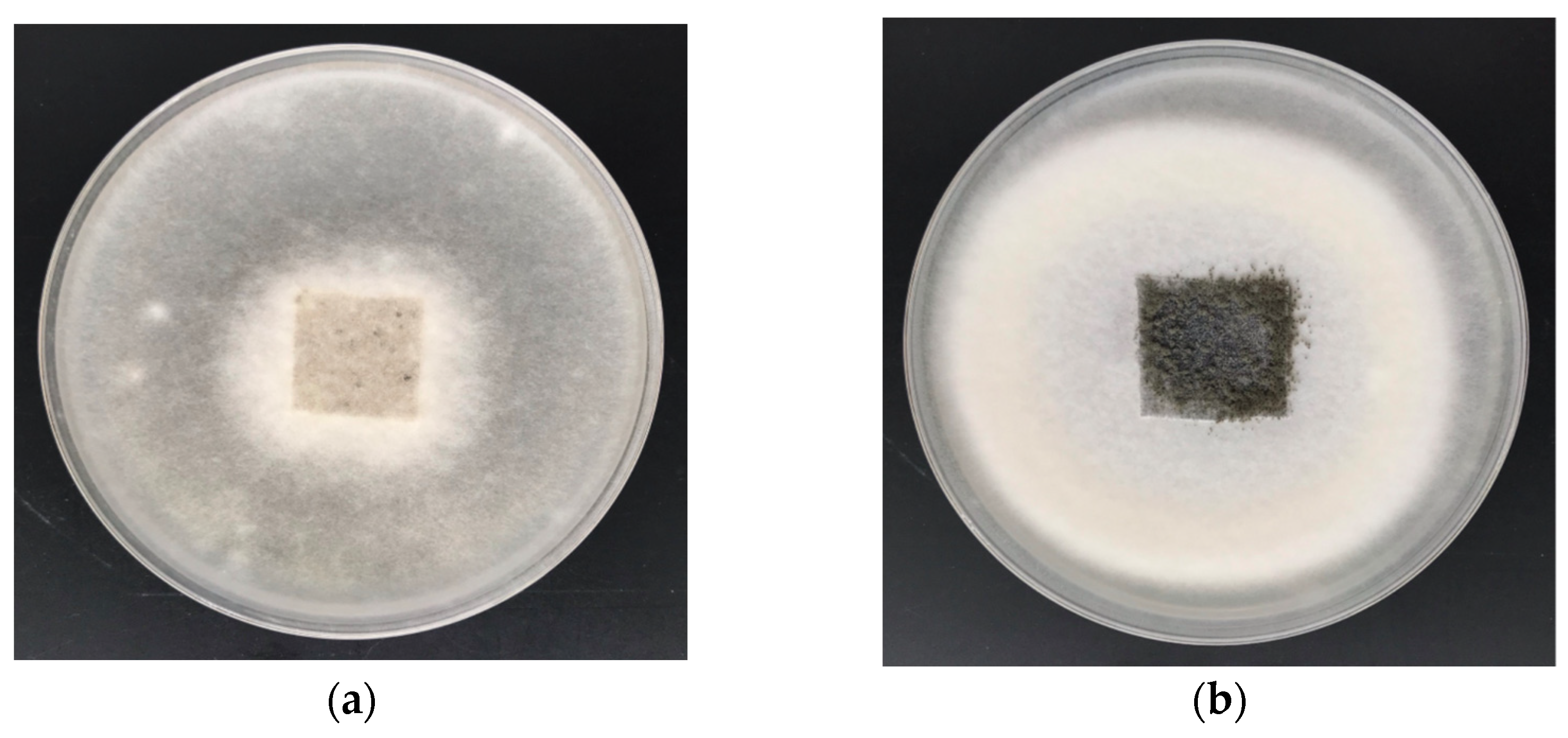 Materials 15 02746 g008