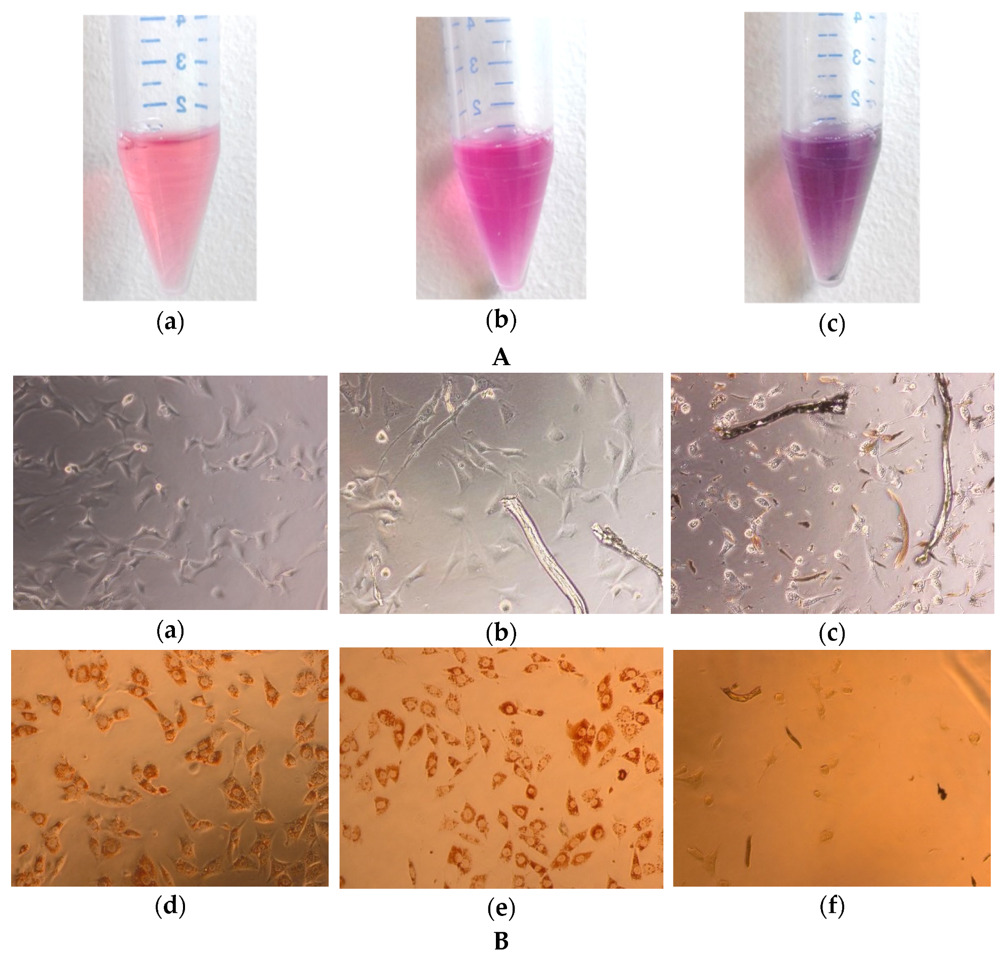 Materials 15 02746 g009