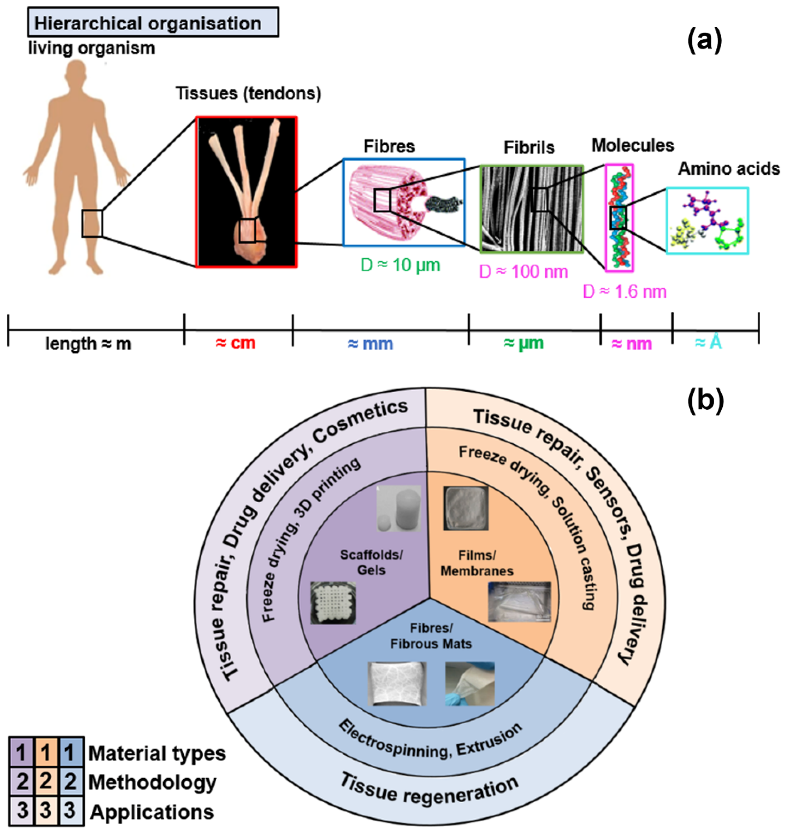 Materials Free FullText Exploring the Mechanical Properties and