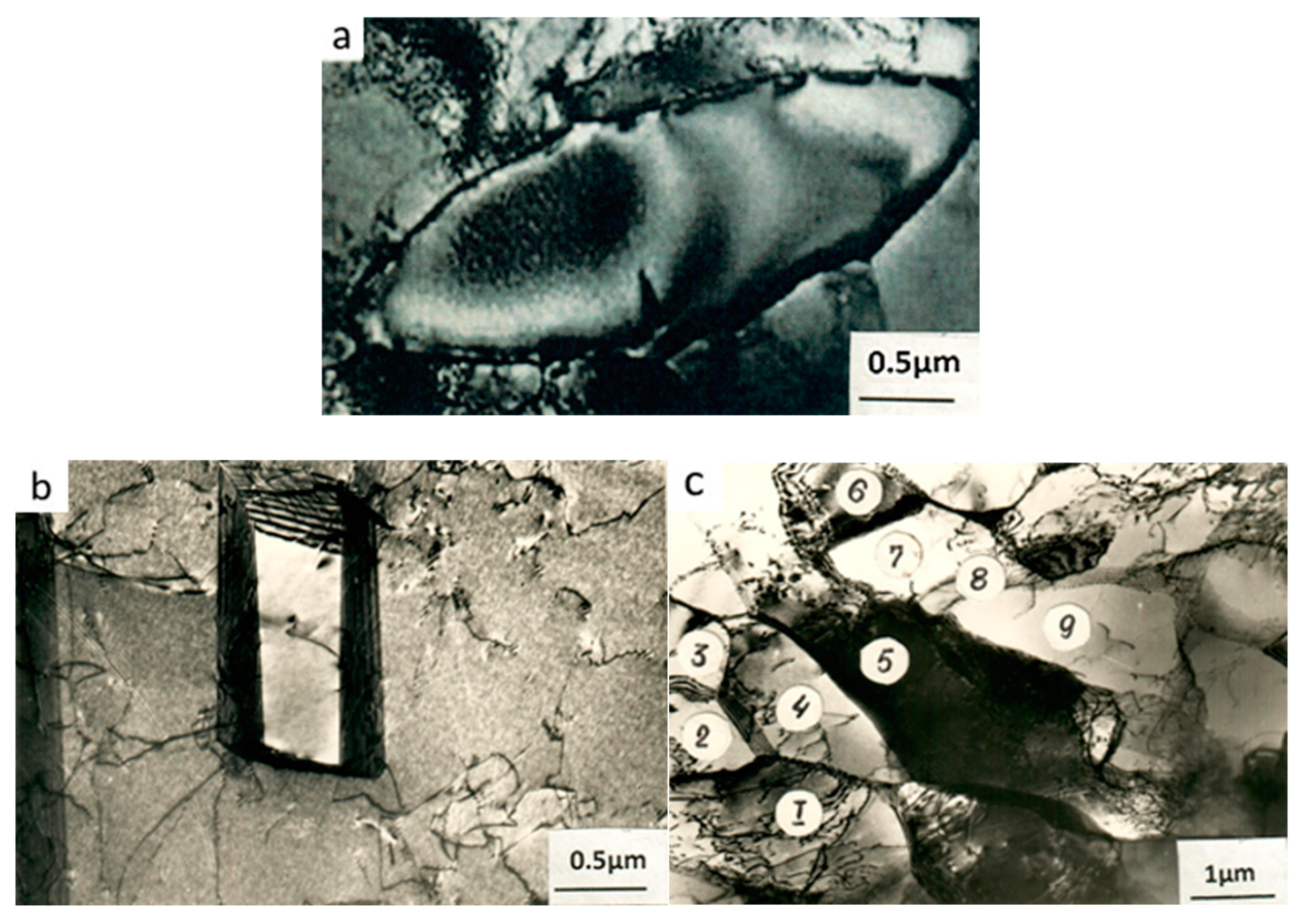 Materials 15 02784 g002