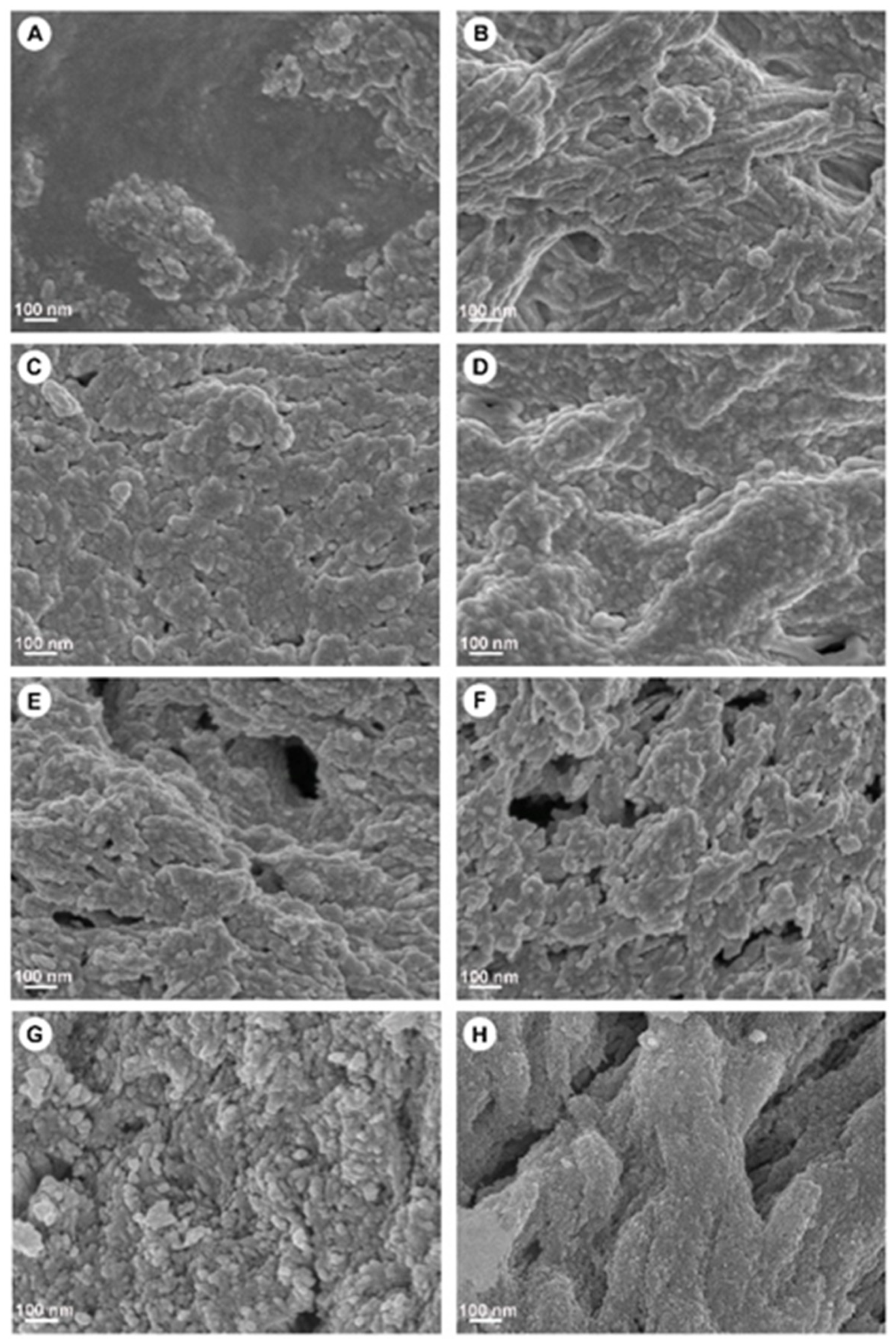 Materials 15 02798 g001 Materials 15 02798 g001