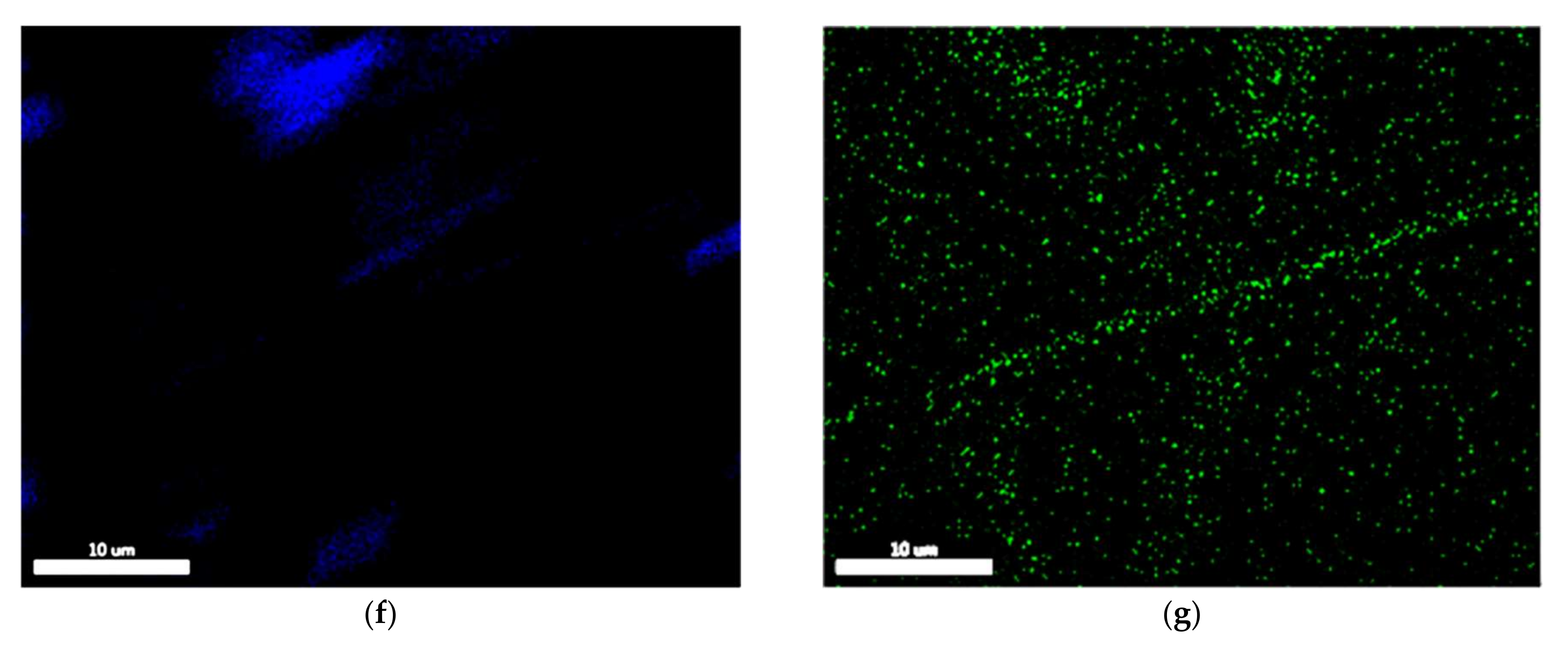 Materials 15 02830 g007b