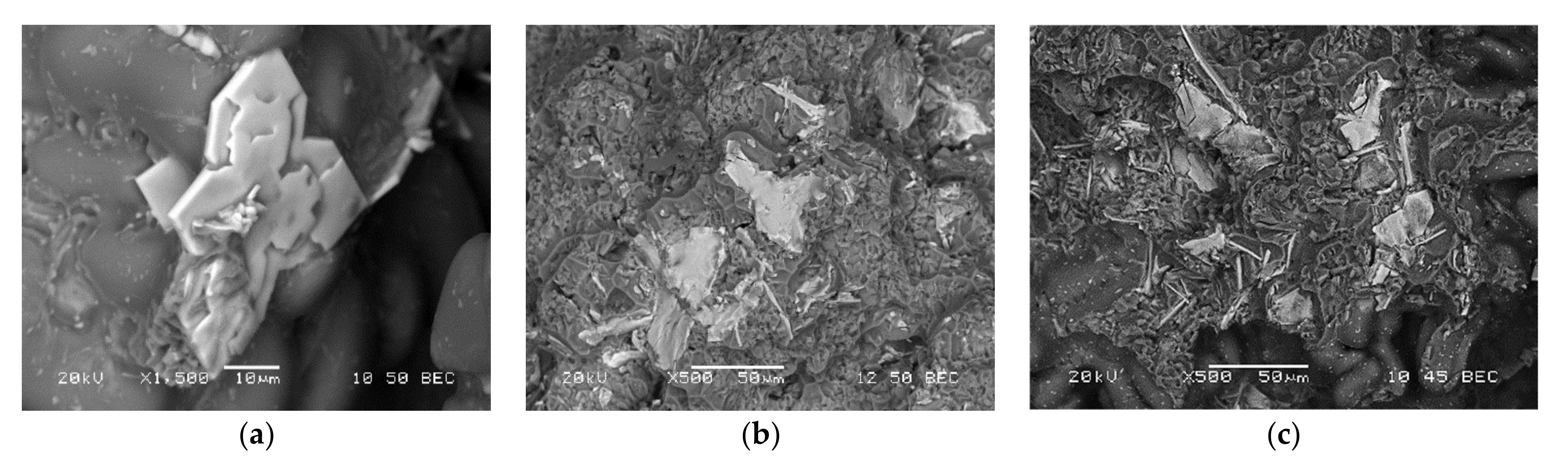 Materials 15 02830 g015