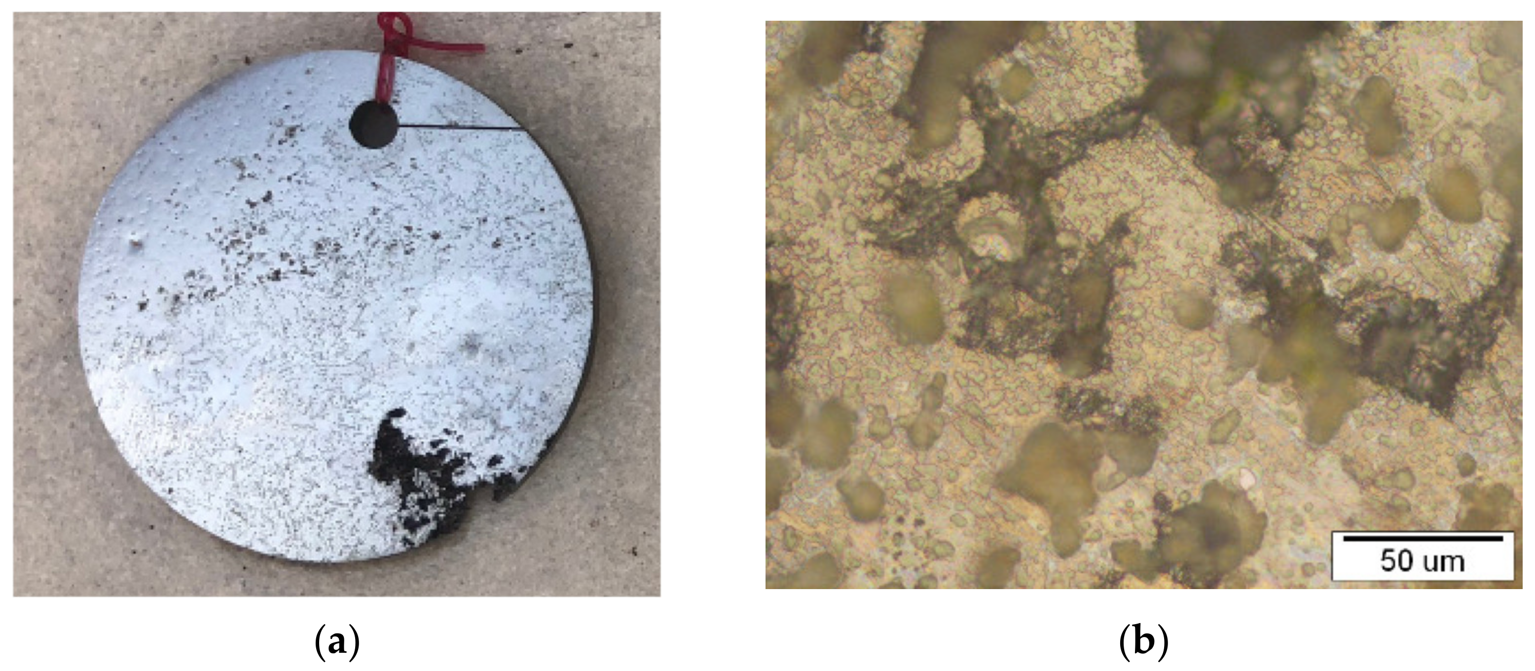 Materials 15 02841 g004 550