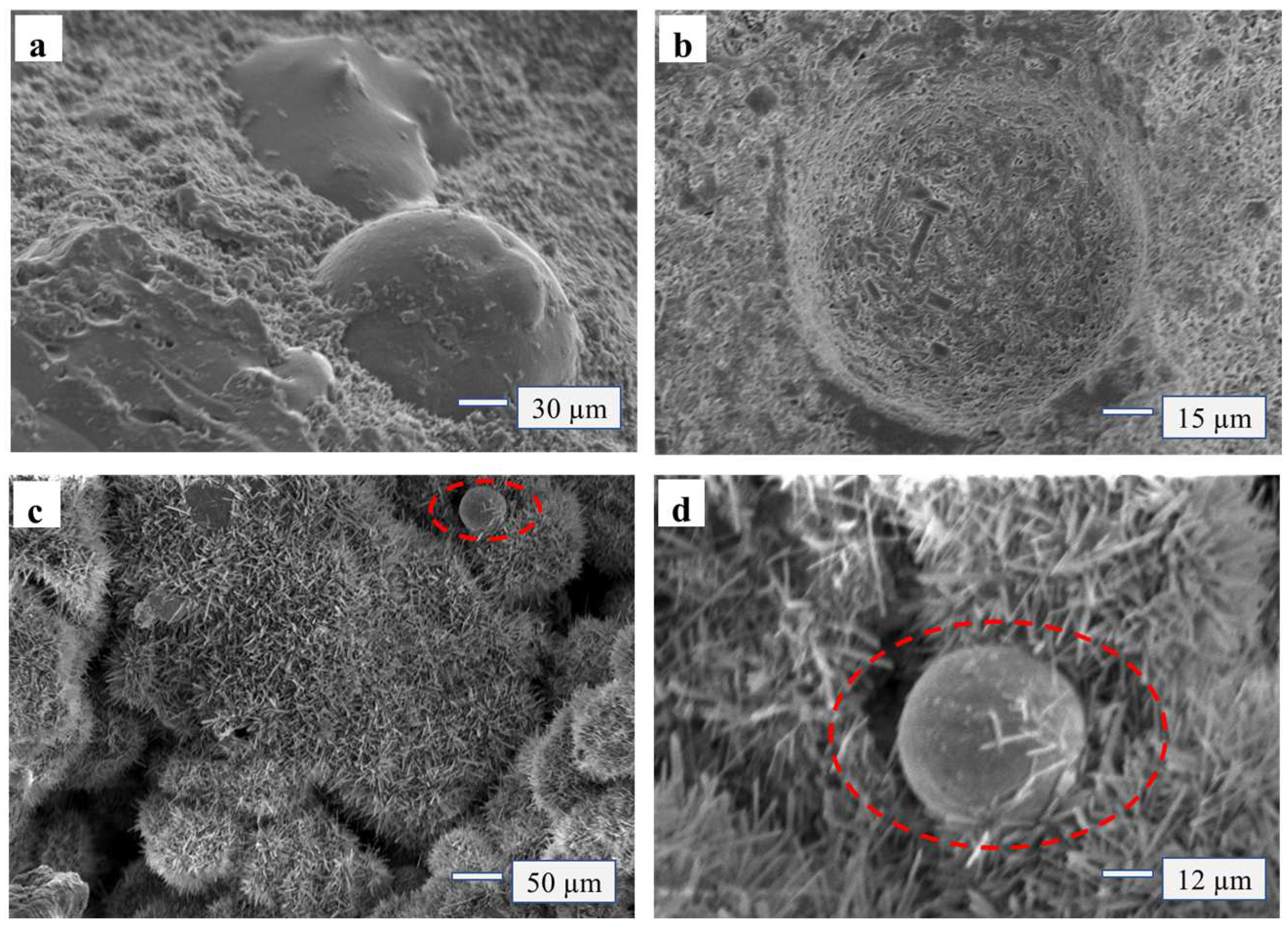 Materials 15 02845 g004 550