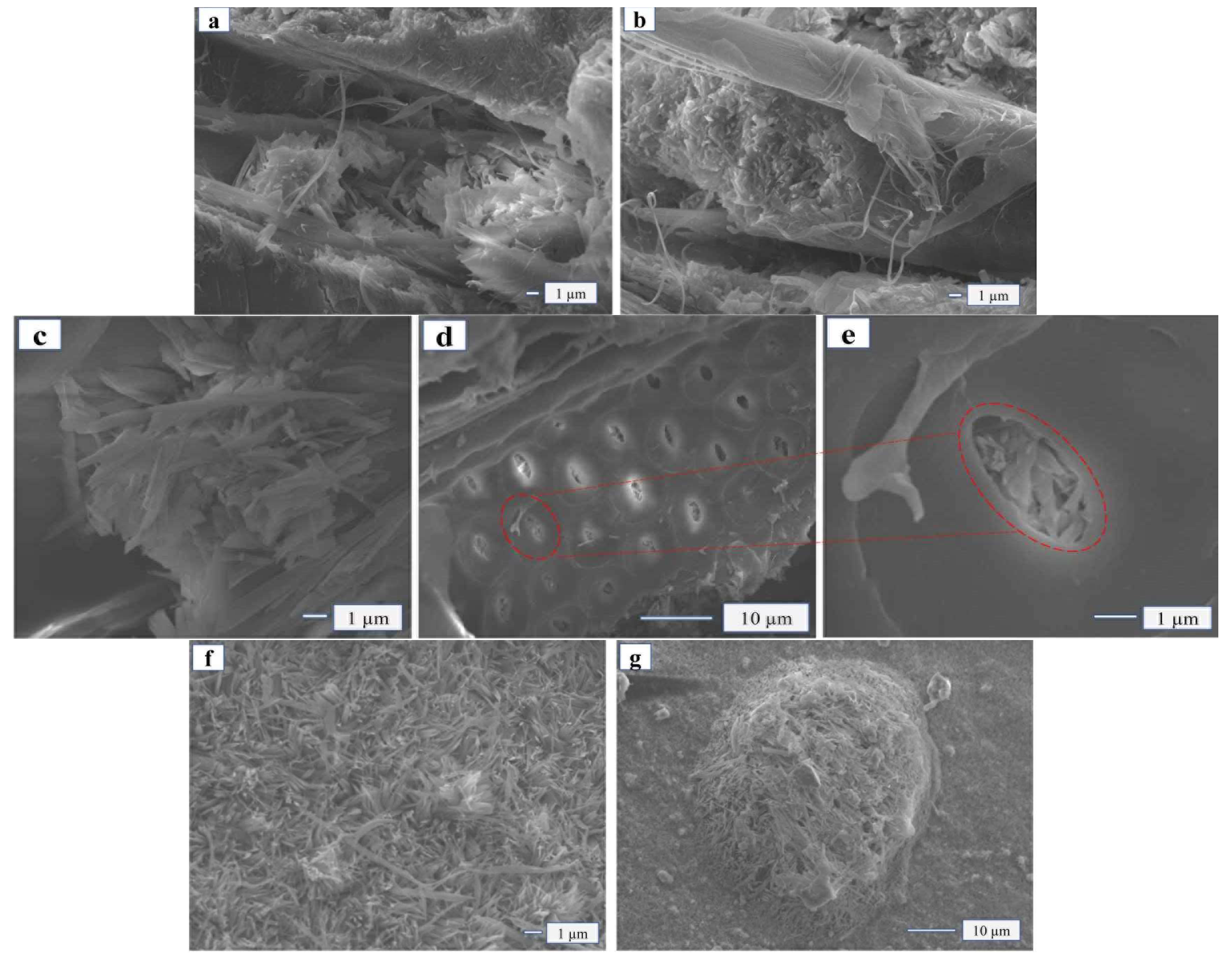 Materials 15 02845 g005a 550