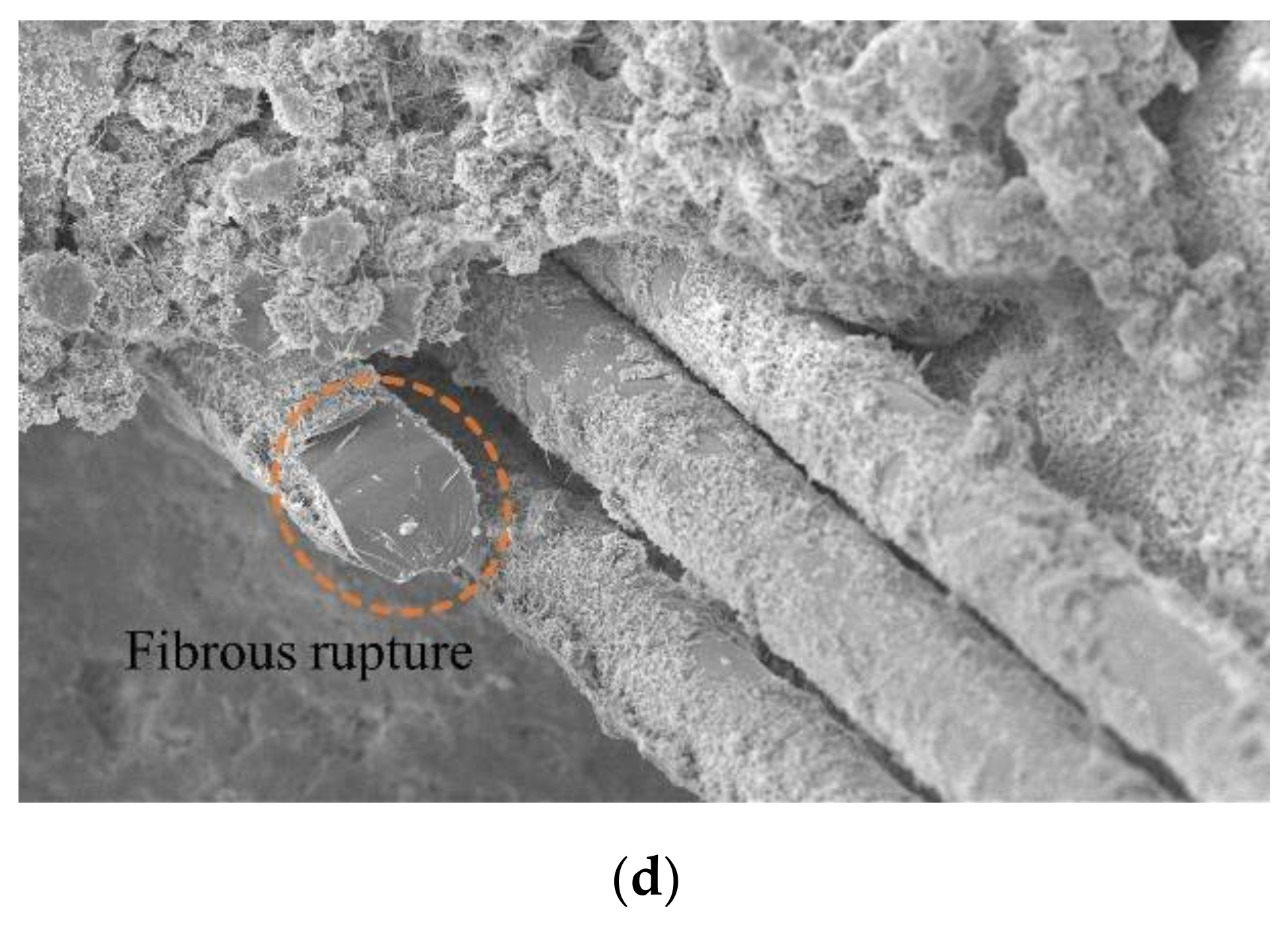 Materials 15 02860 g011b 550