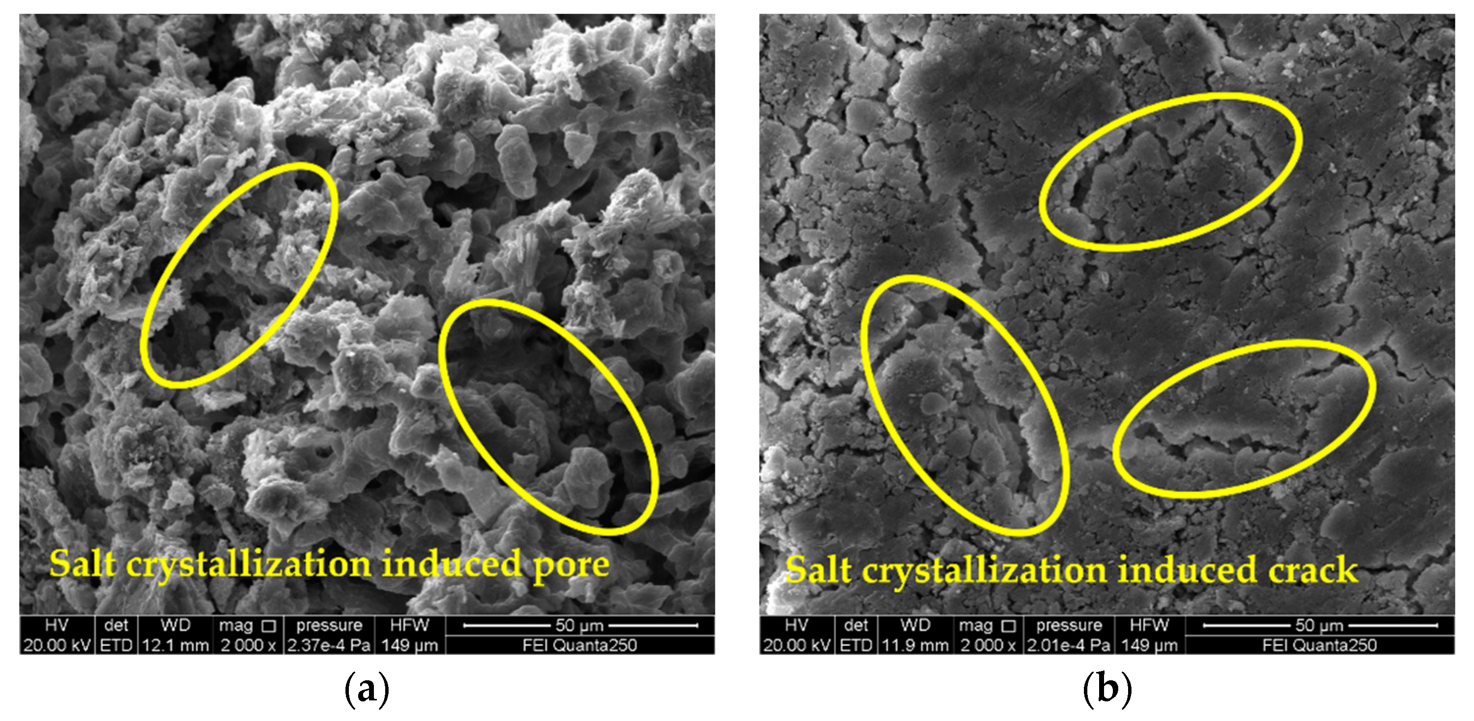 Materials 15 02936 g006
