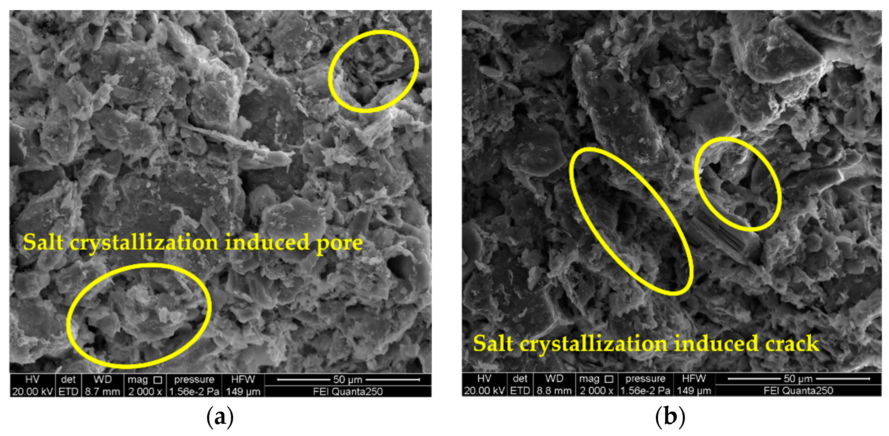 Materials 15 02936 g007