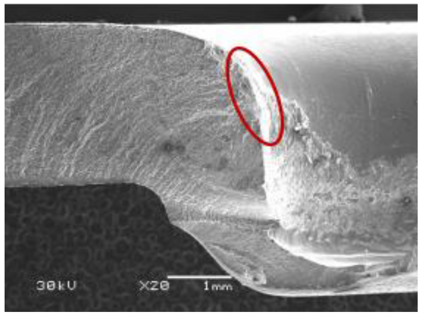 Materials 15 02962 g016