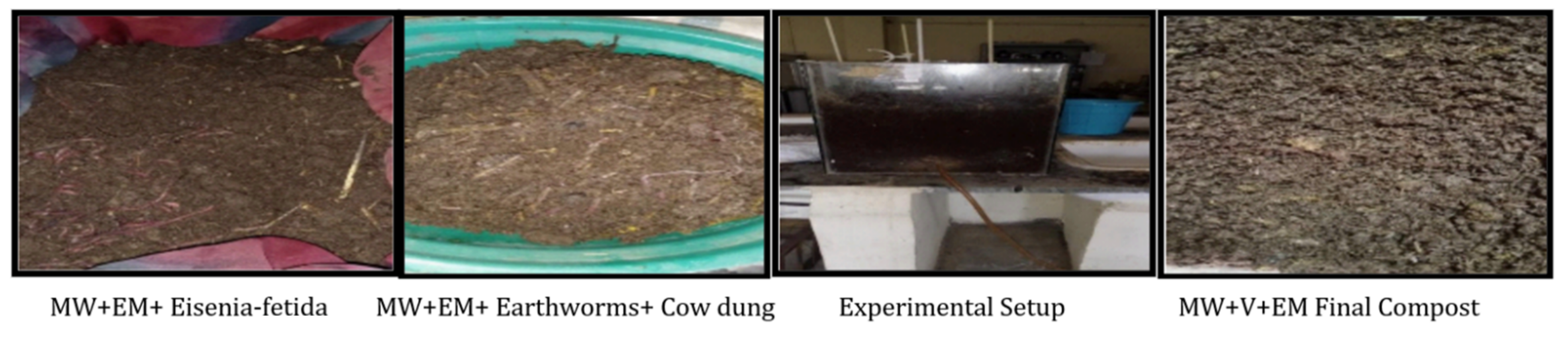 Materials 15 02963 g004