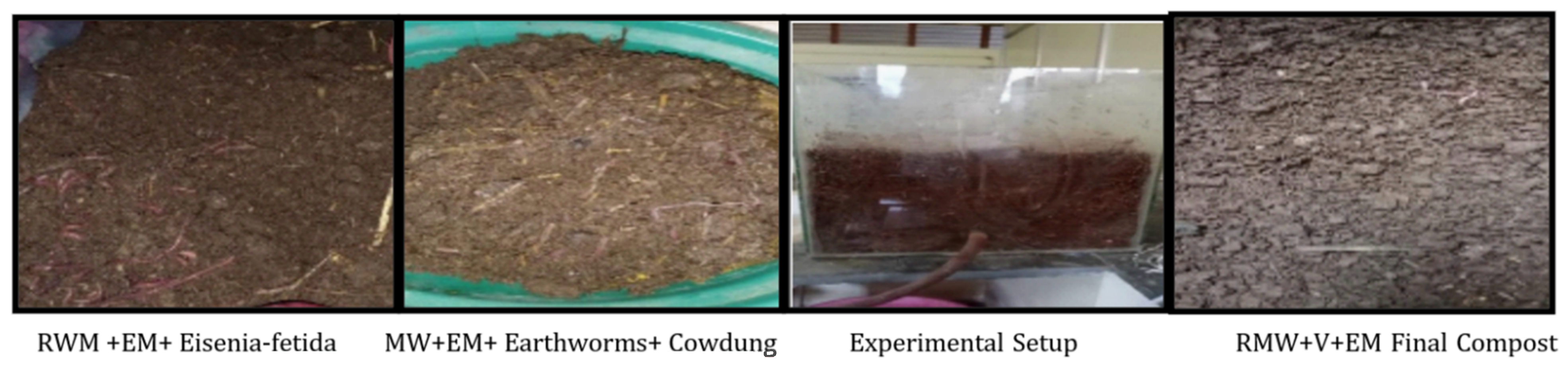 Materials 15 02963 g005