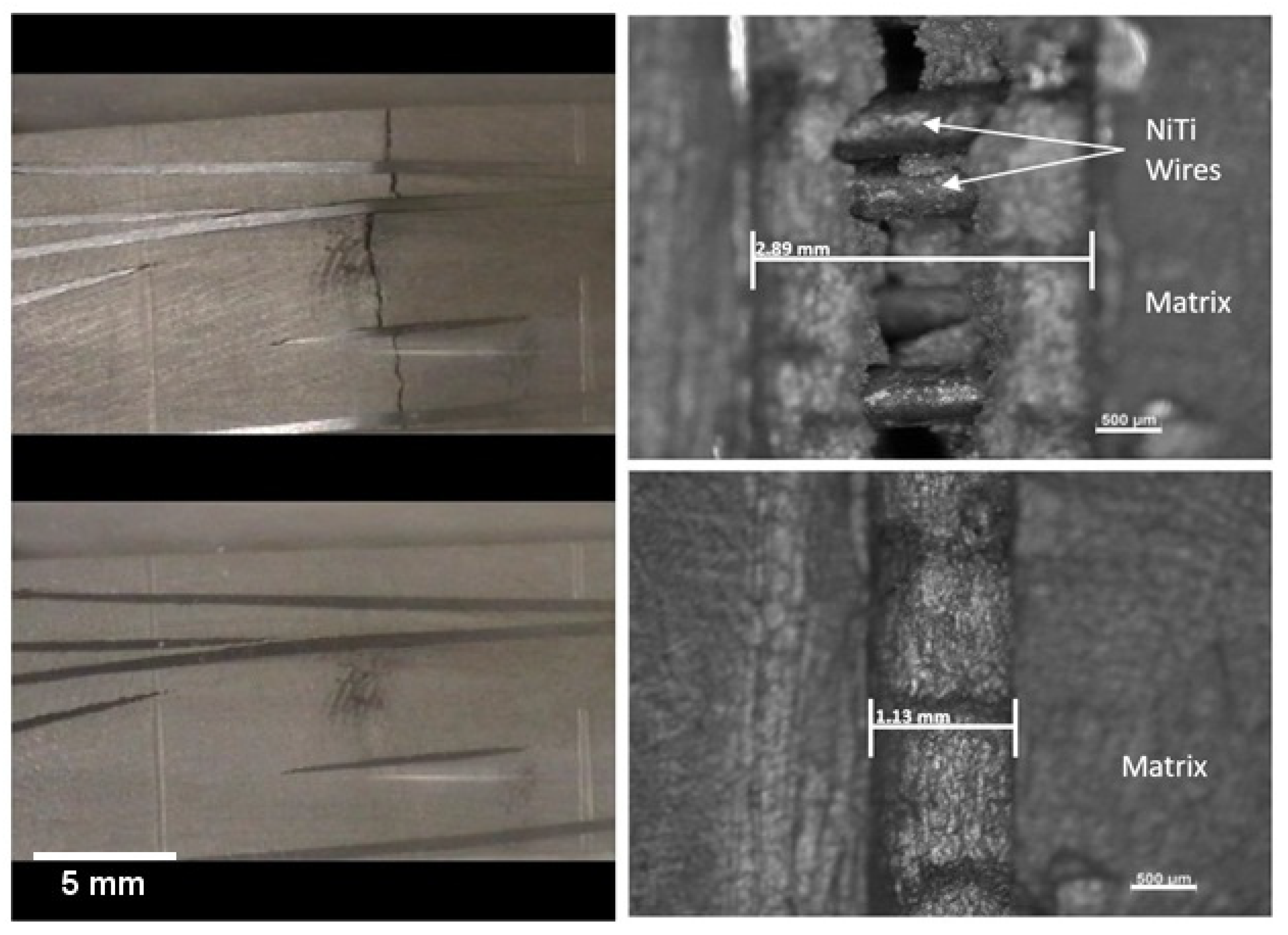 Materials 15 02970 g007 550