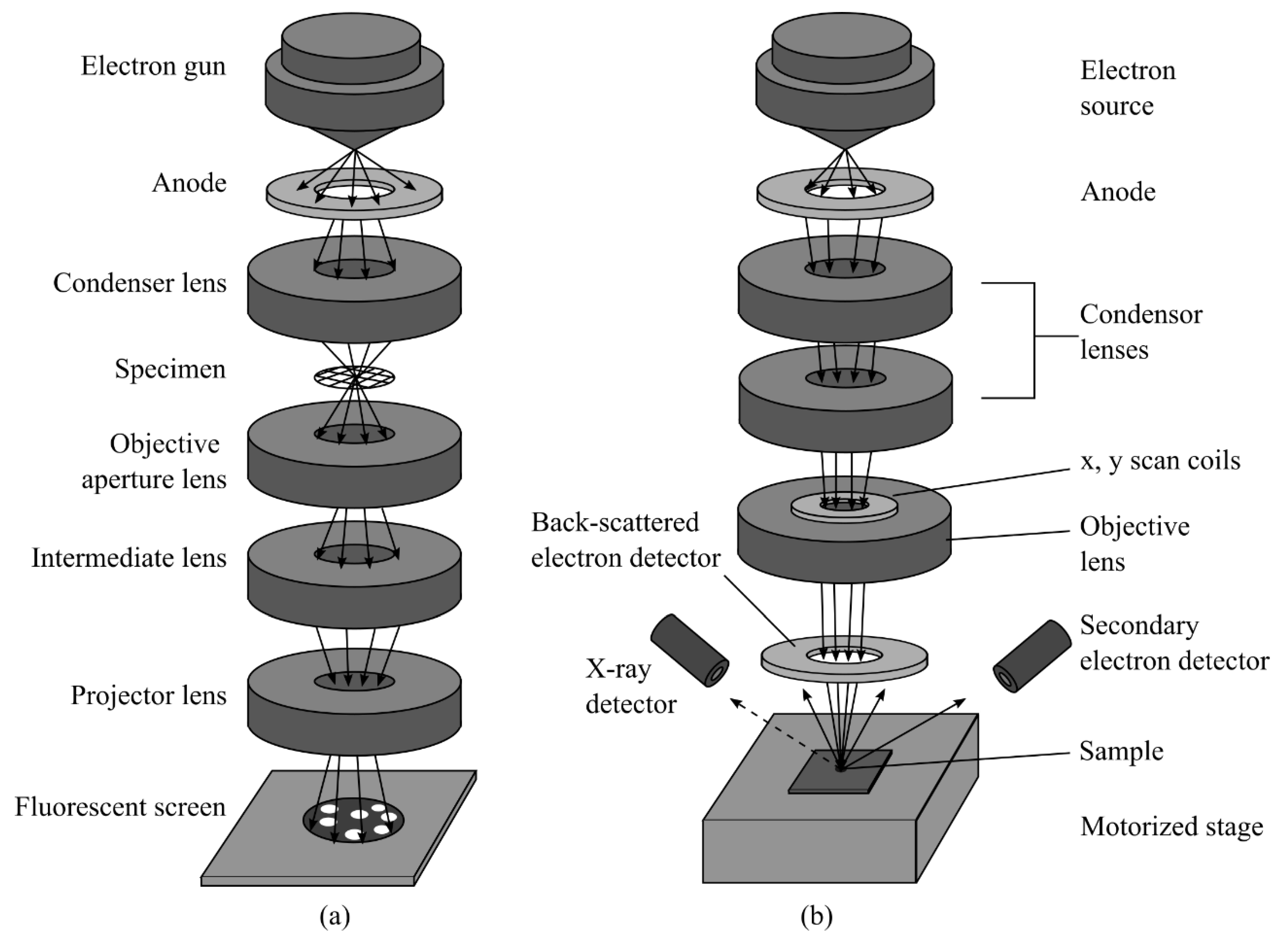 Materials 15 02981 g002
