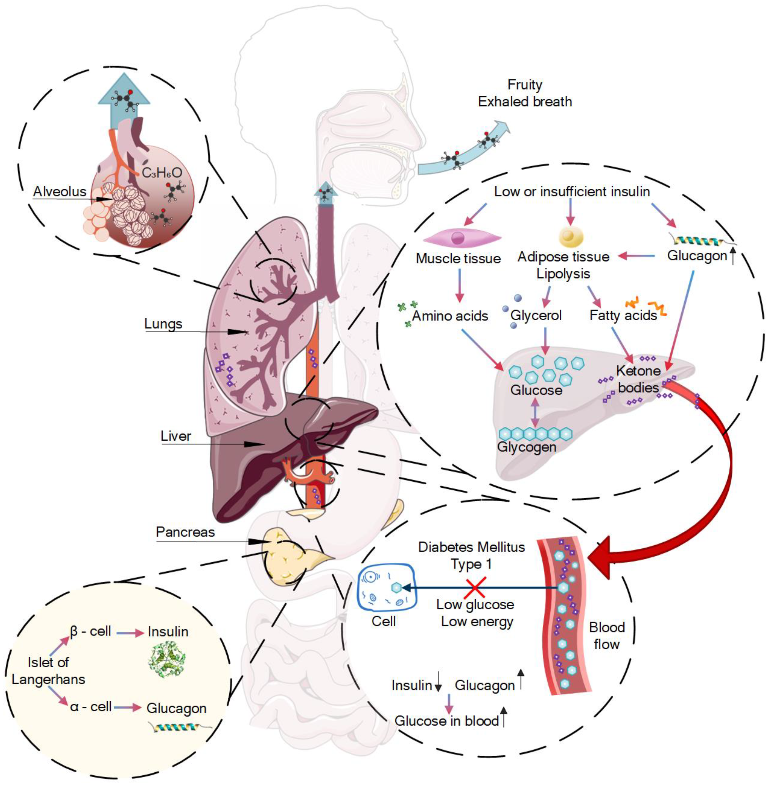 Materials 15 02984 g001