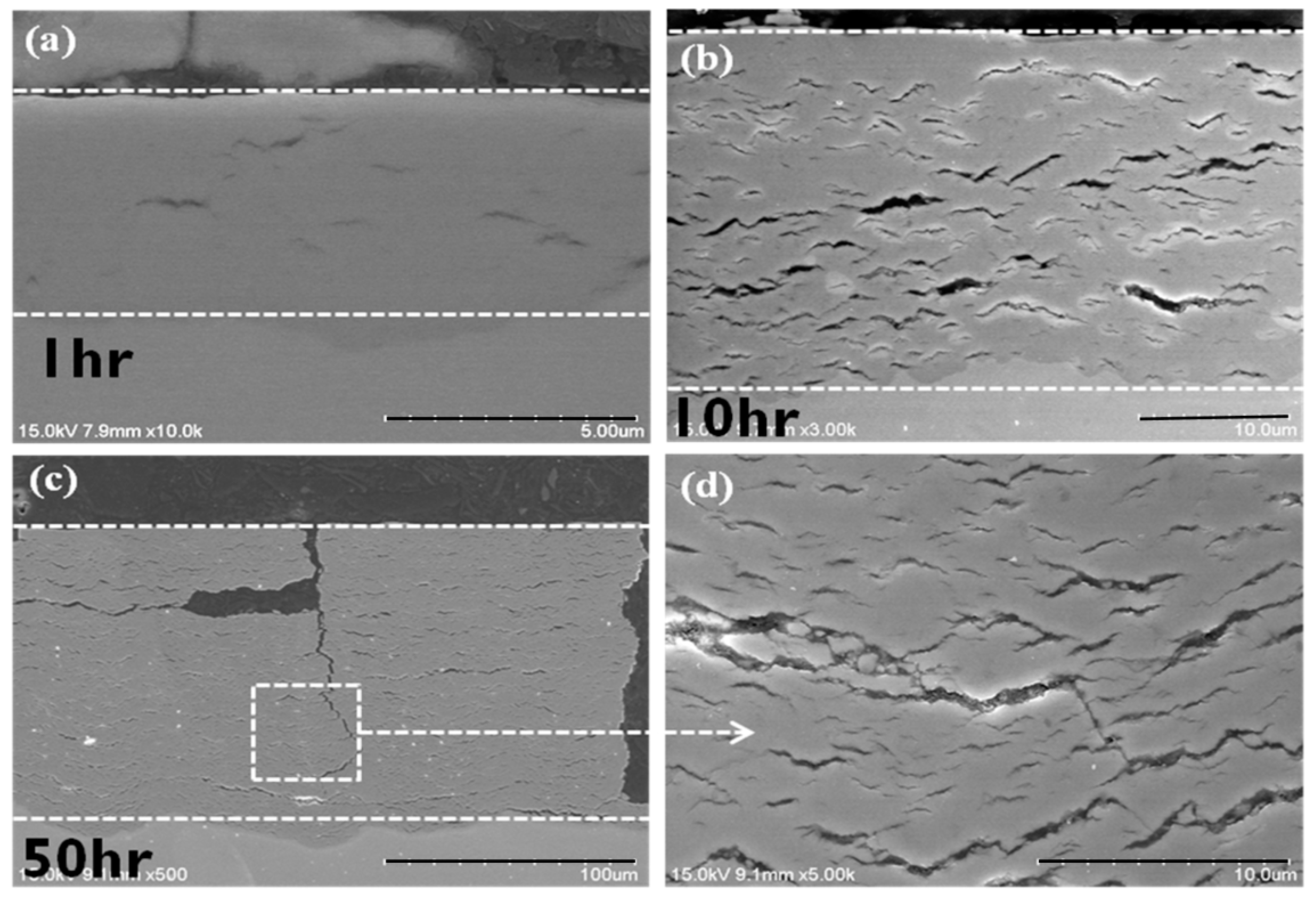 Materials 15 02997 g007 550