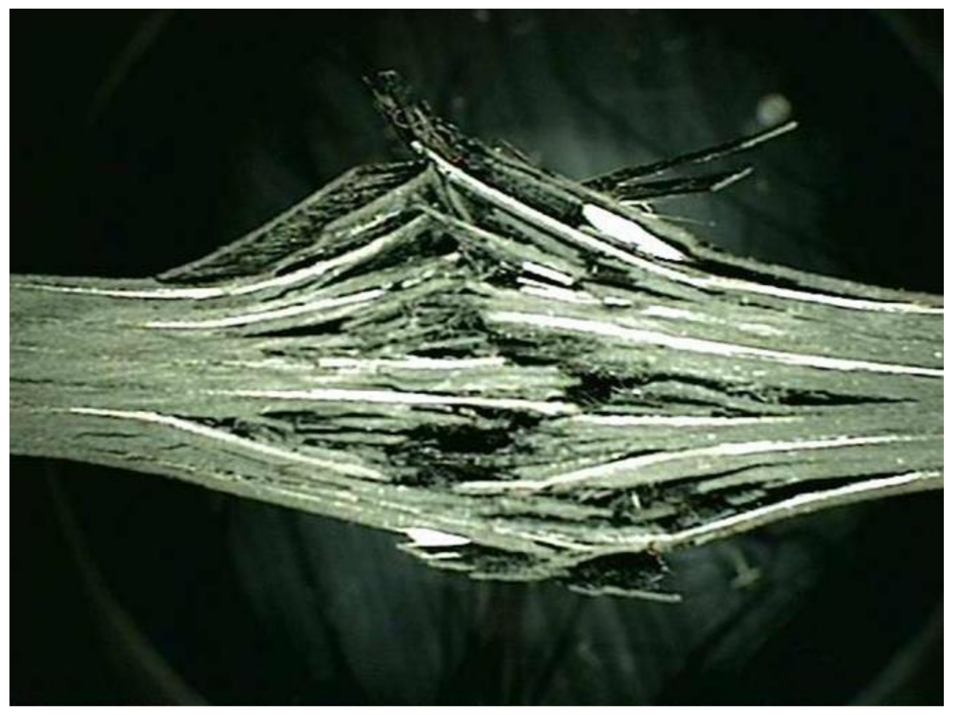 Materials 15 03001 g004 550