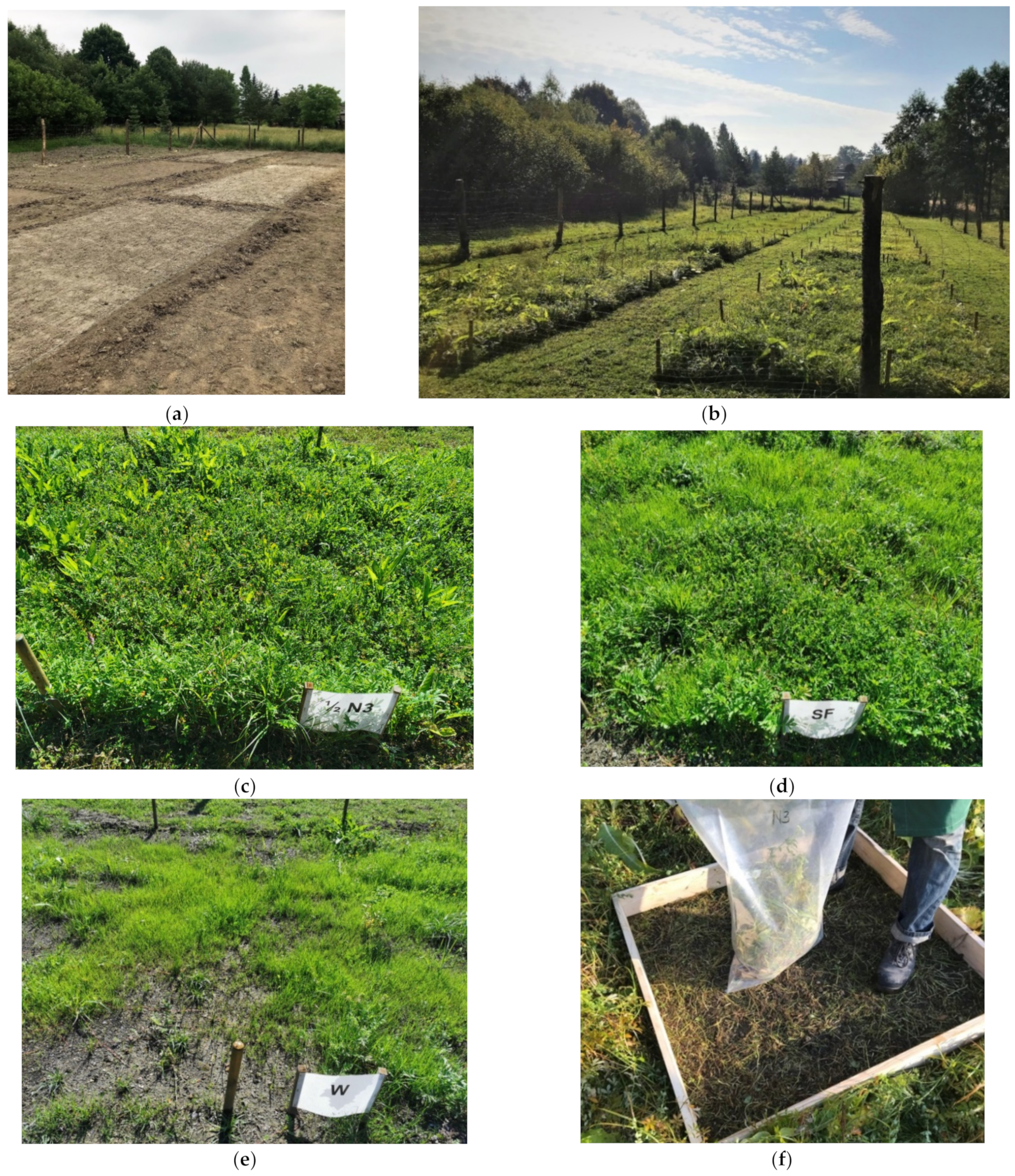 Materials 15 03023 g009