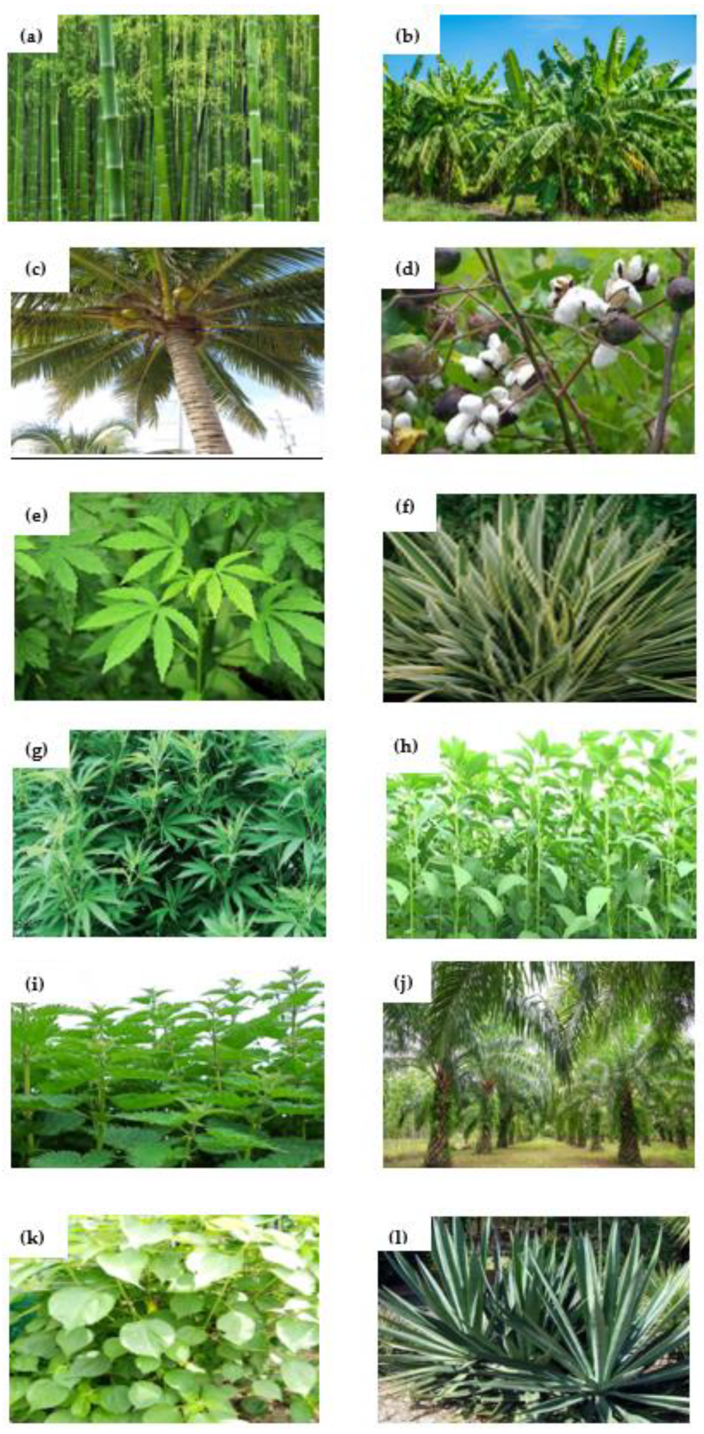 Materials 15 03025 g002