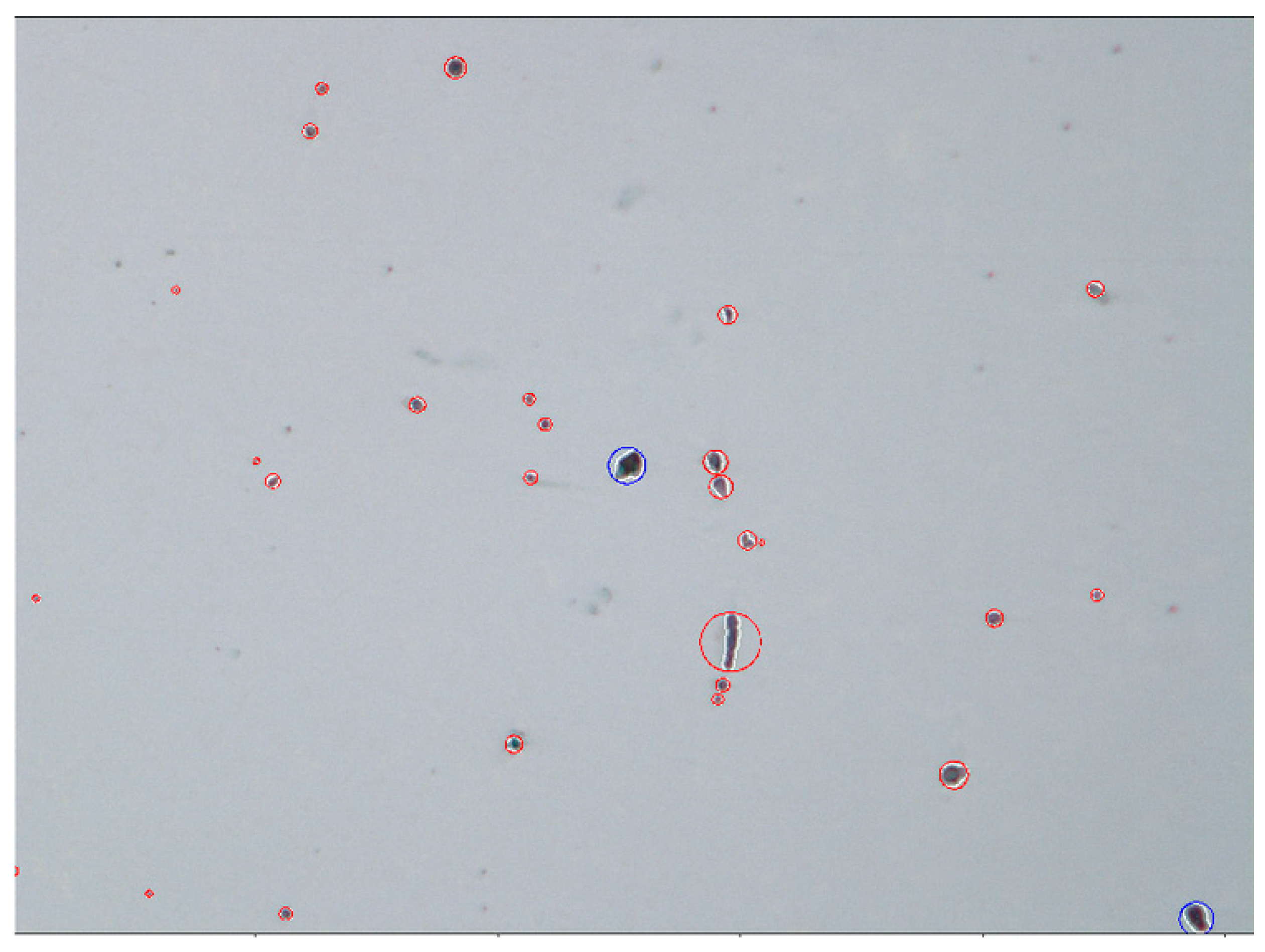 Materials 15 03039 g003