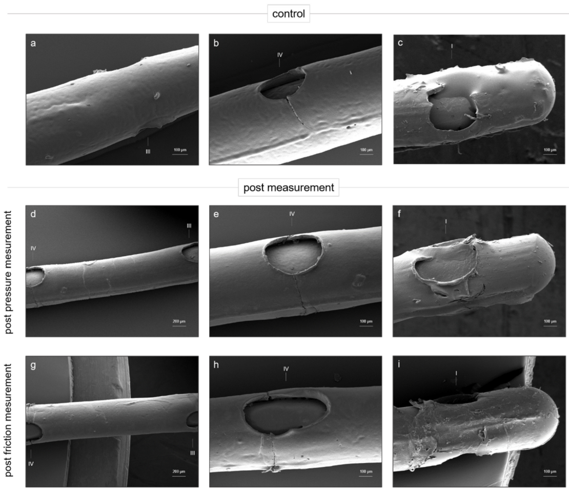 Materials 15 03049 g006