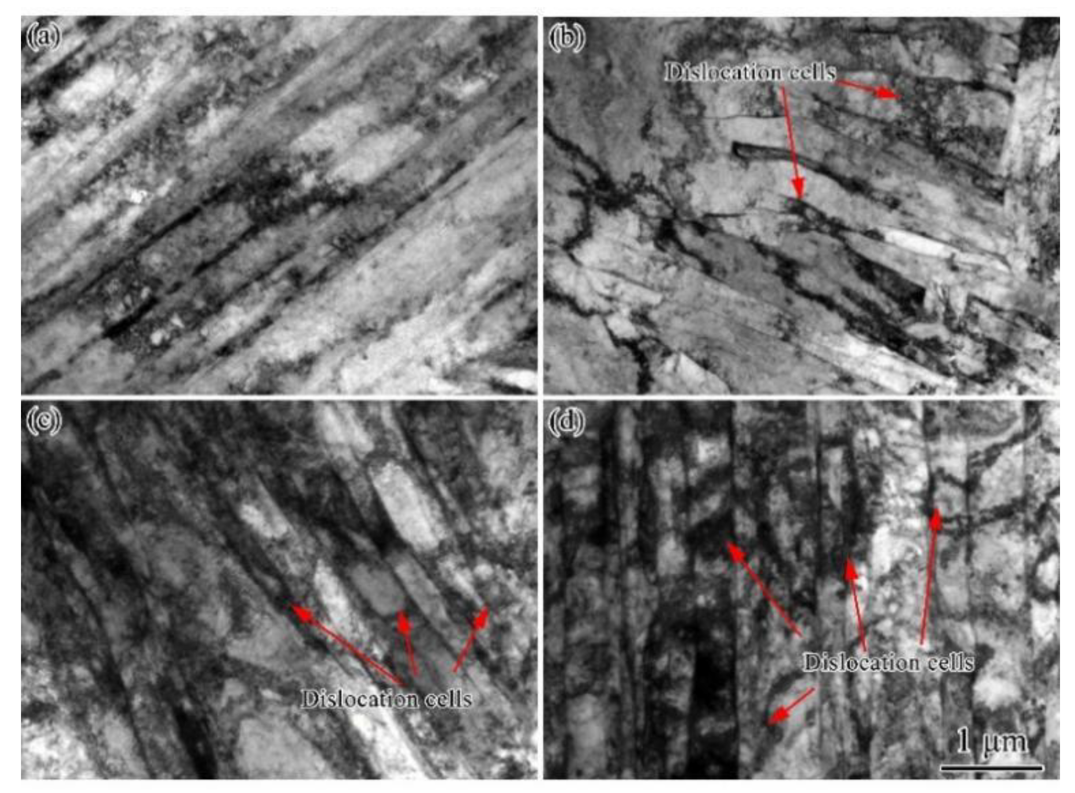 Materials 15 03070 g004 550