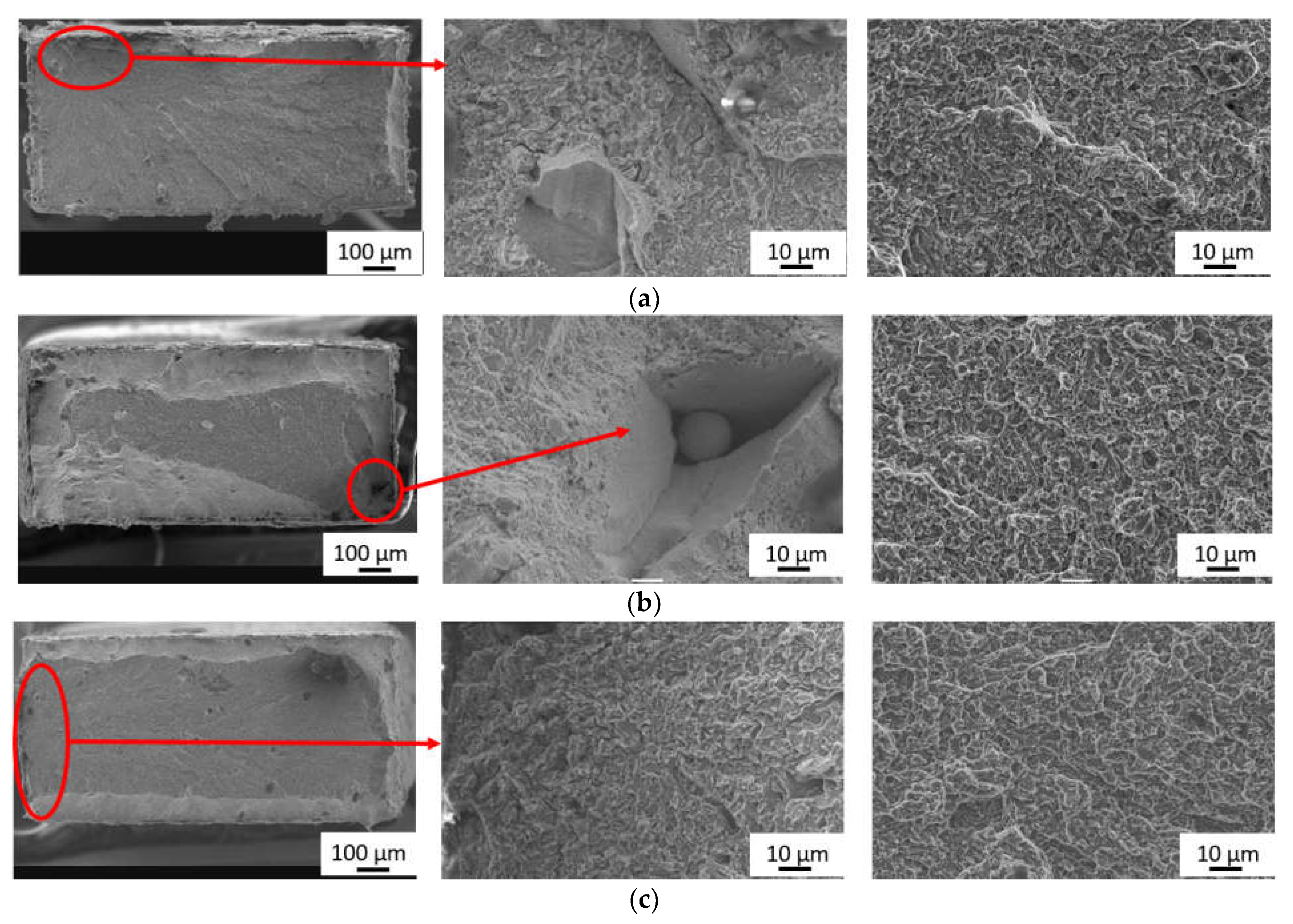 Materials 15 03076 g007