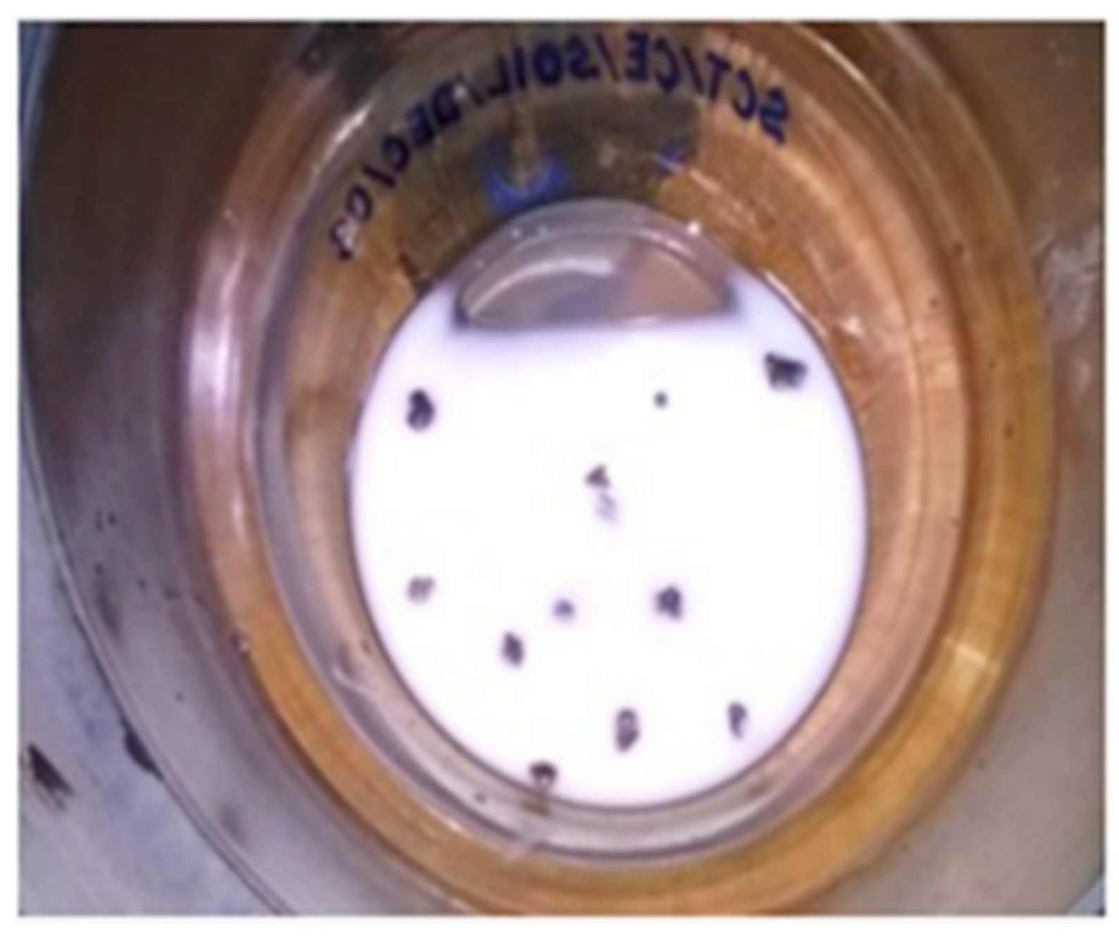 Materials 15 03079 g004 550