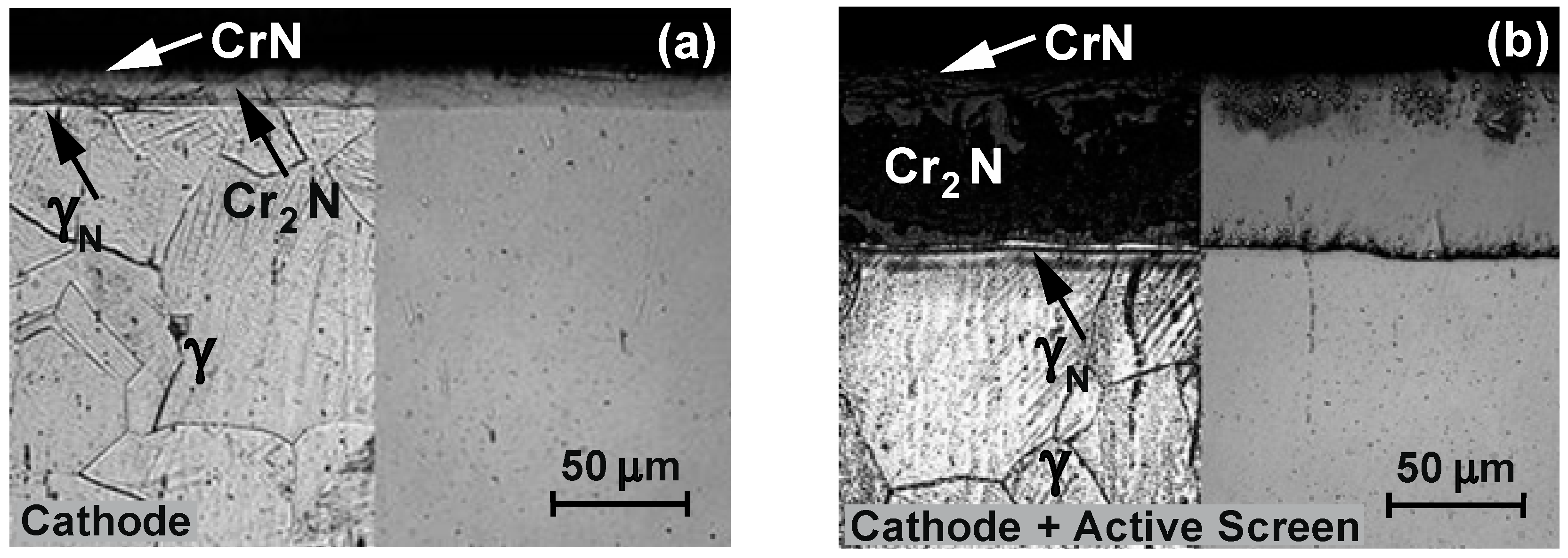Materials 15 03081 g007 550