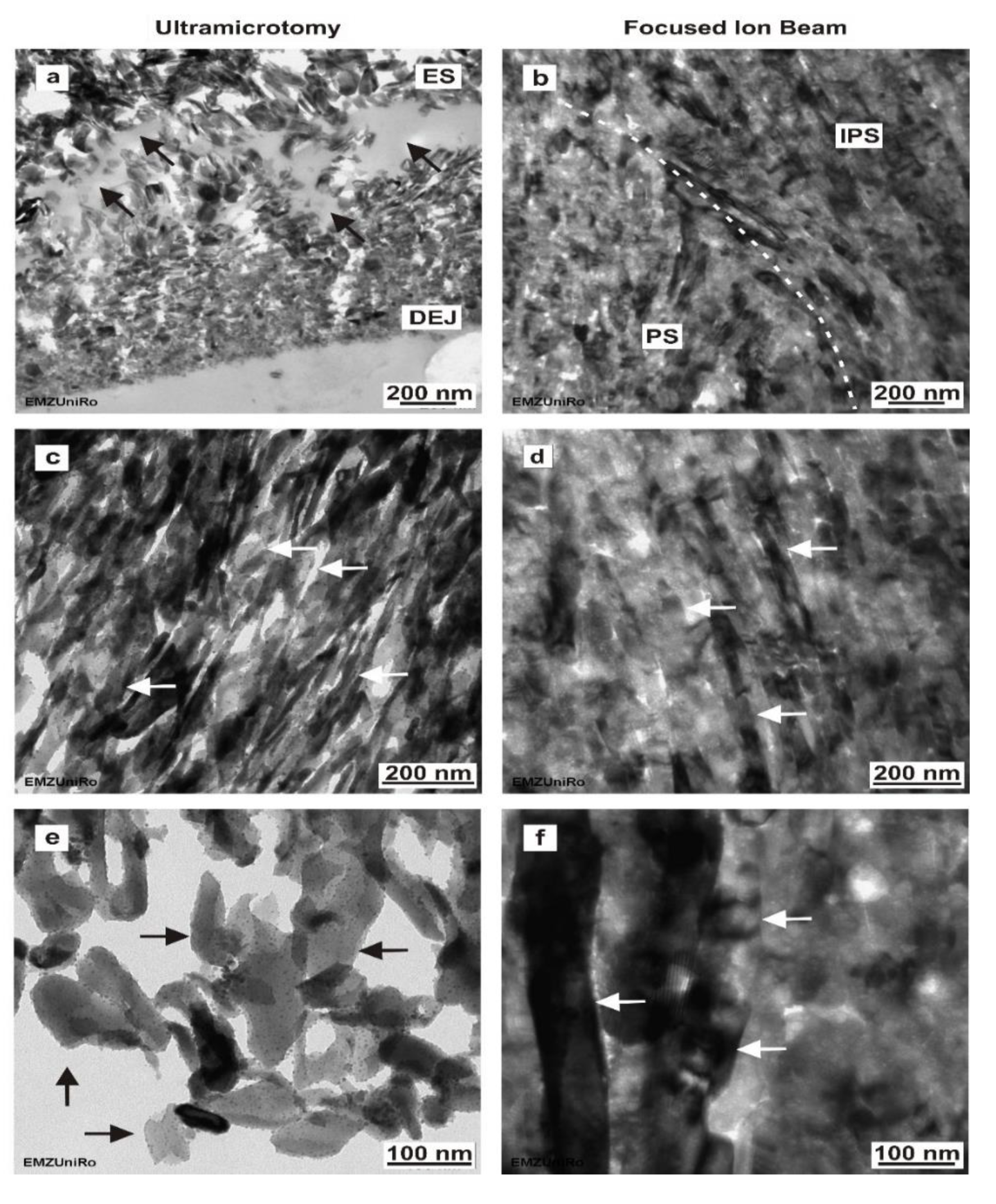 Materials 15 03084 g003 550