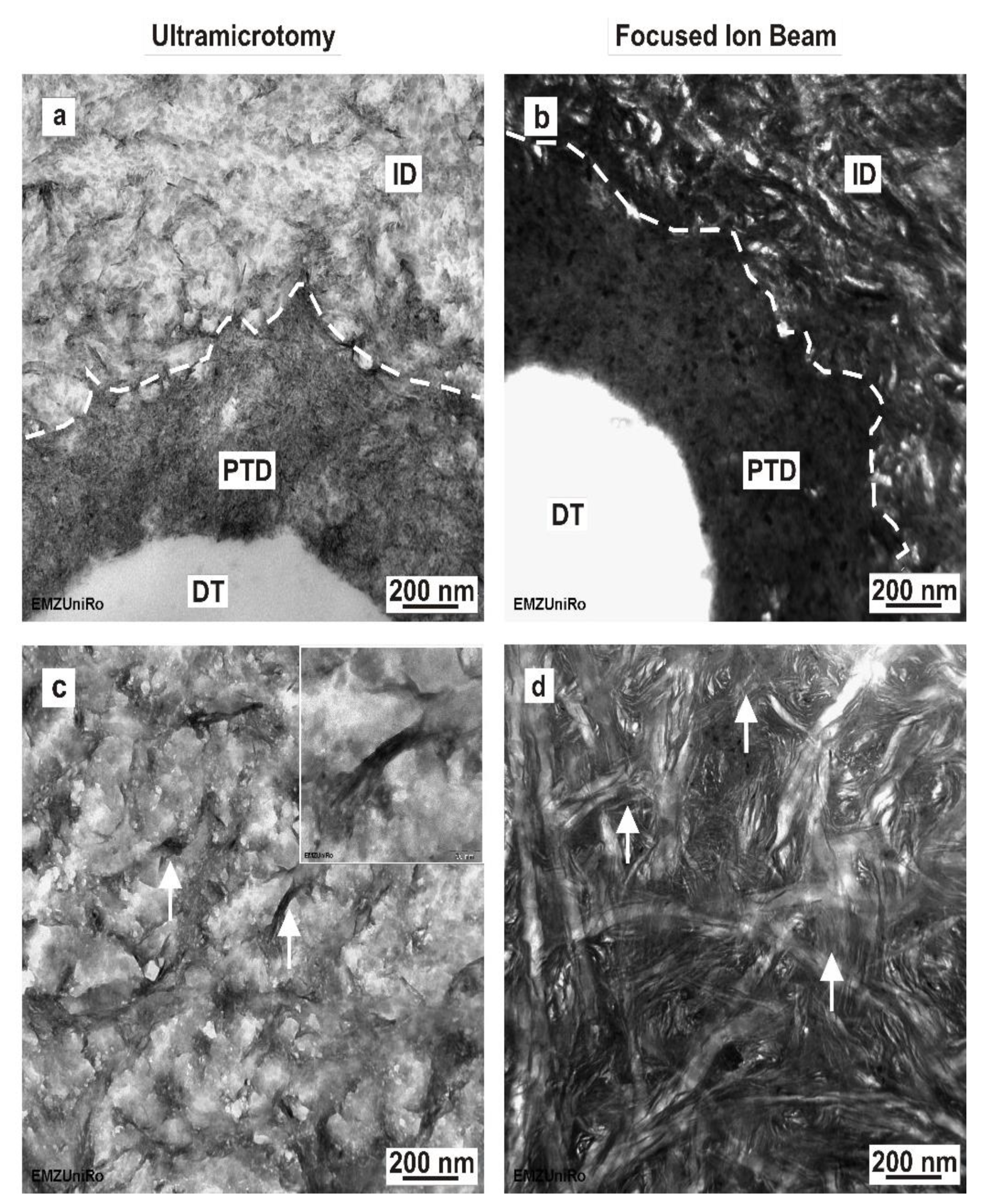 Materials 15 03084 g004 550