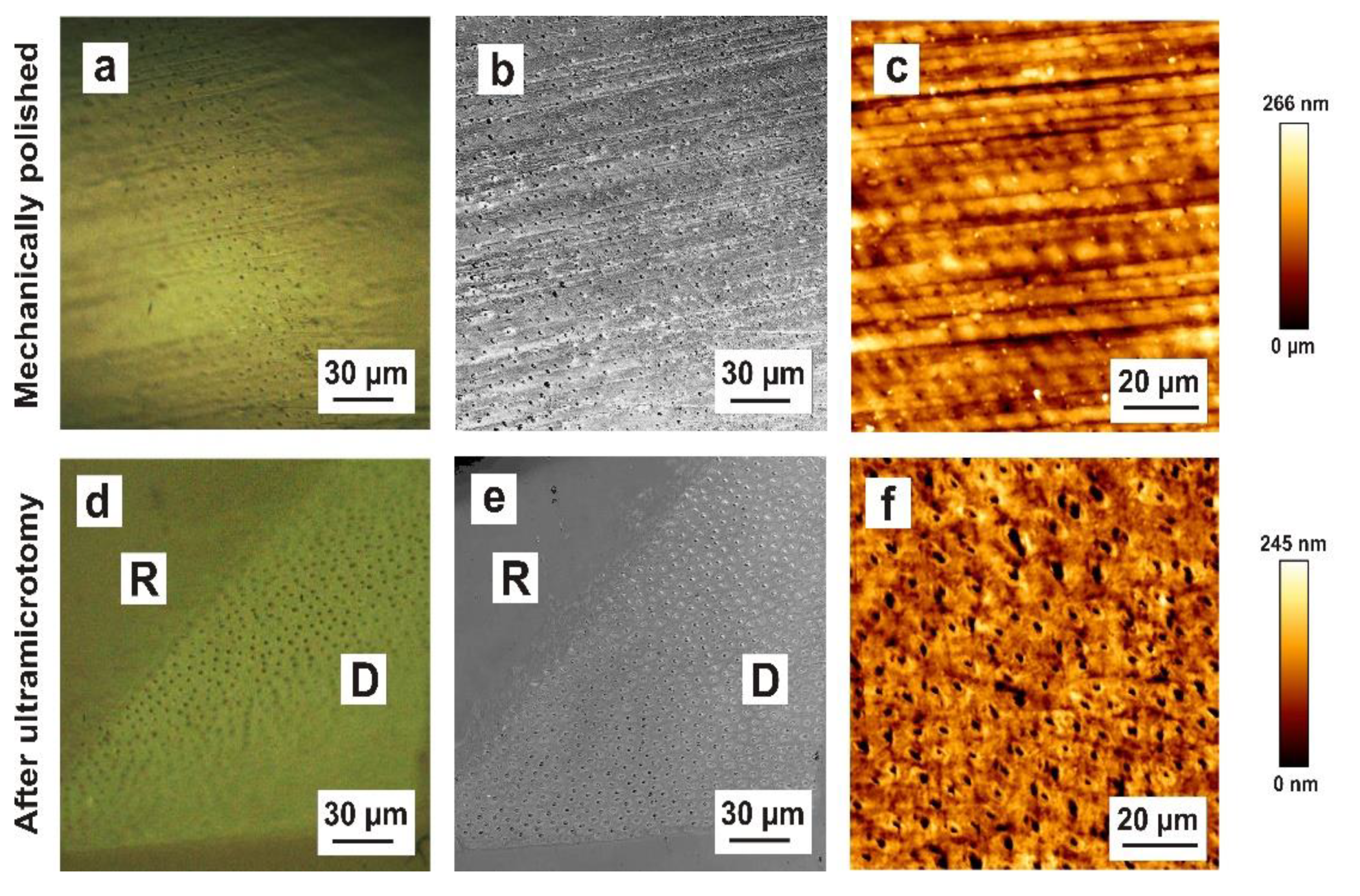 Materials 15 03084 g006 550