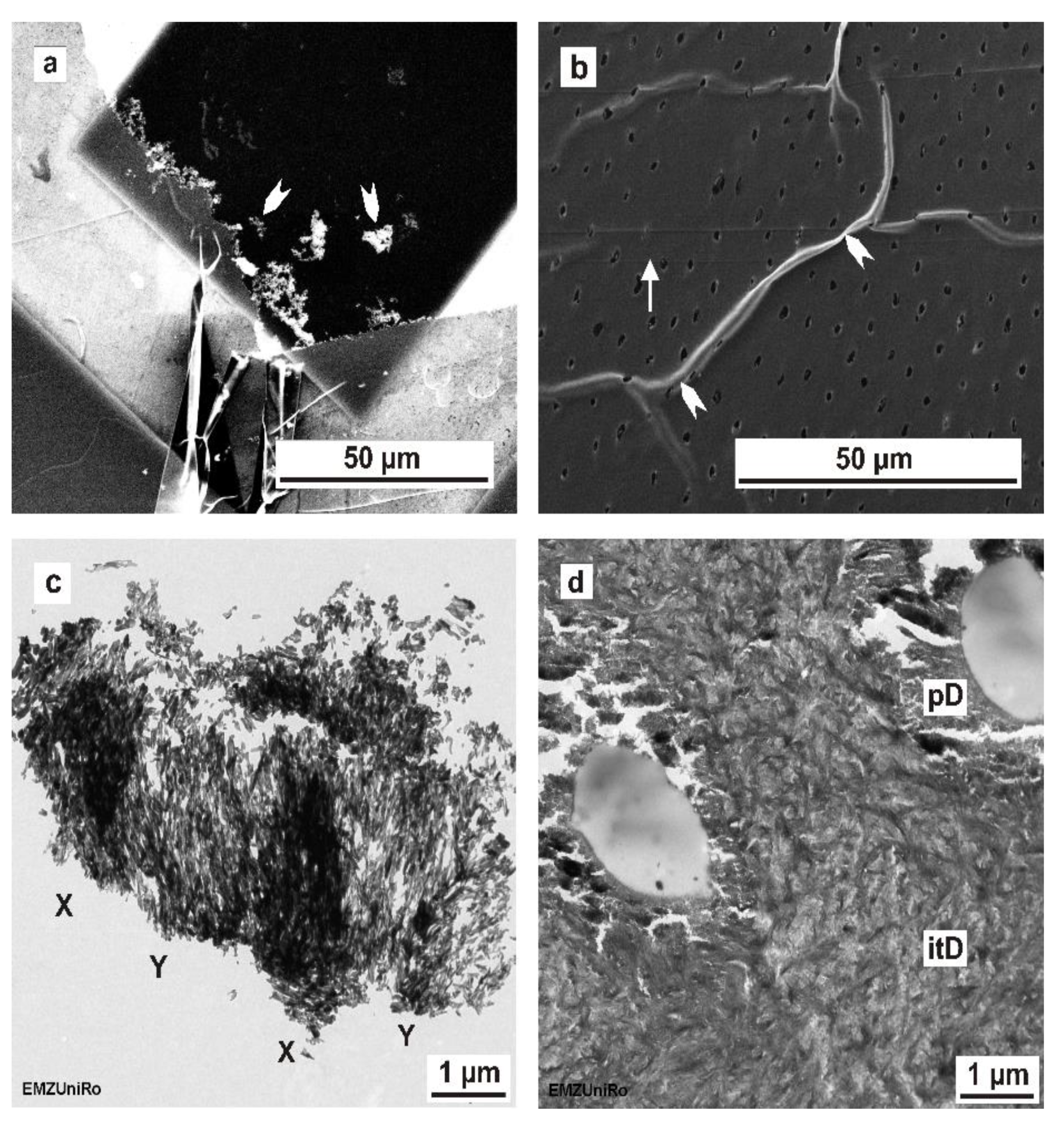 Materials 15 03084 g007 550