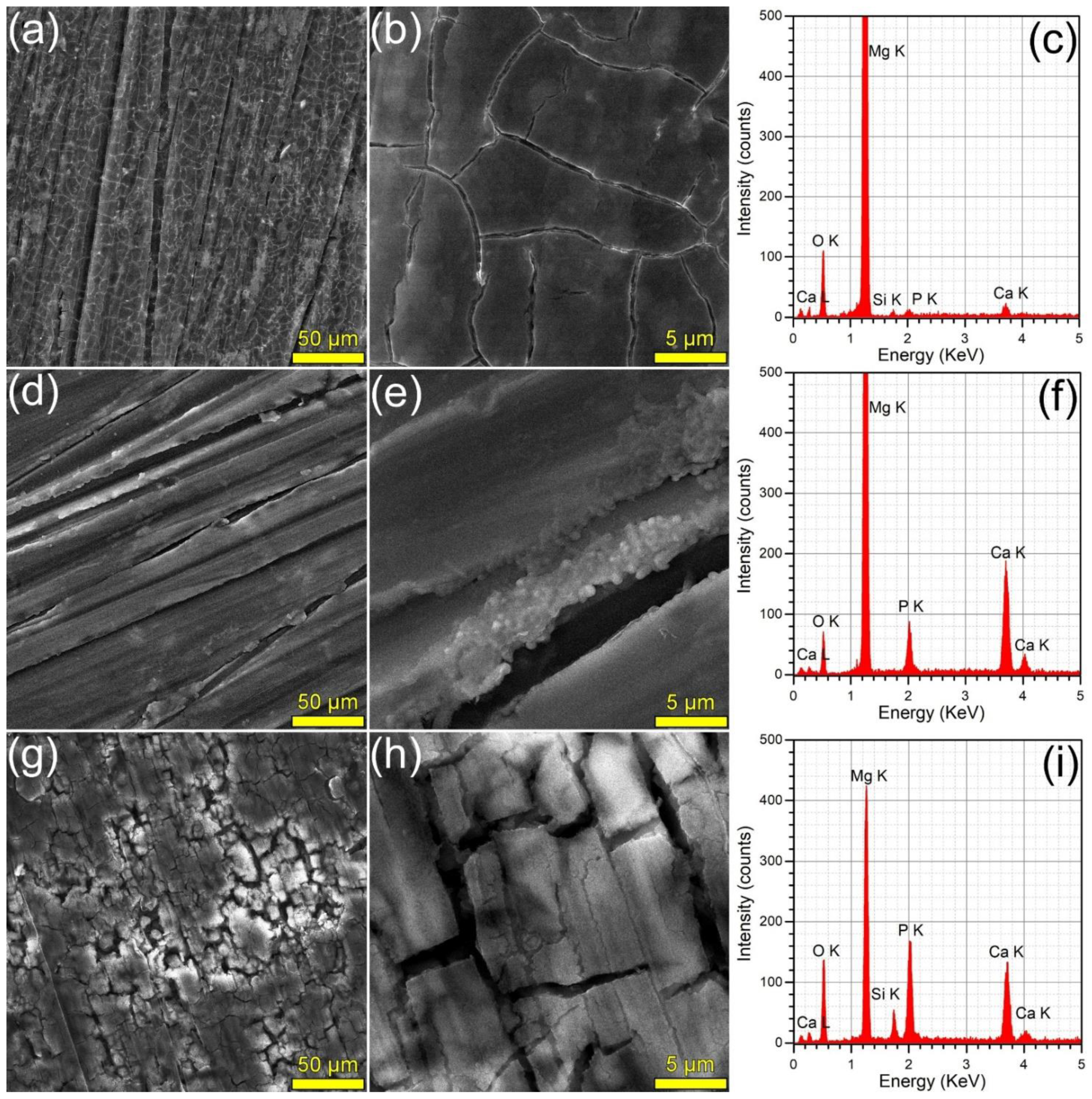 Materials 15 03100 g008 Materials 15 03100 g008