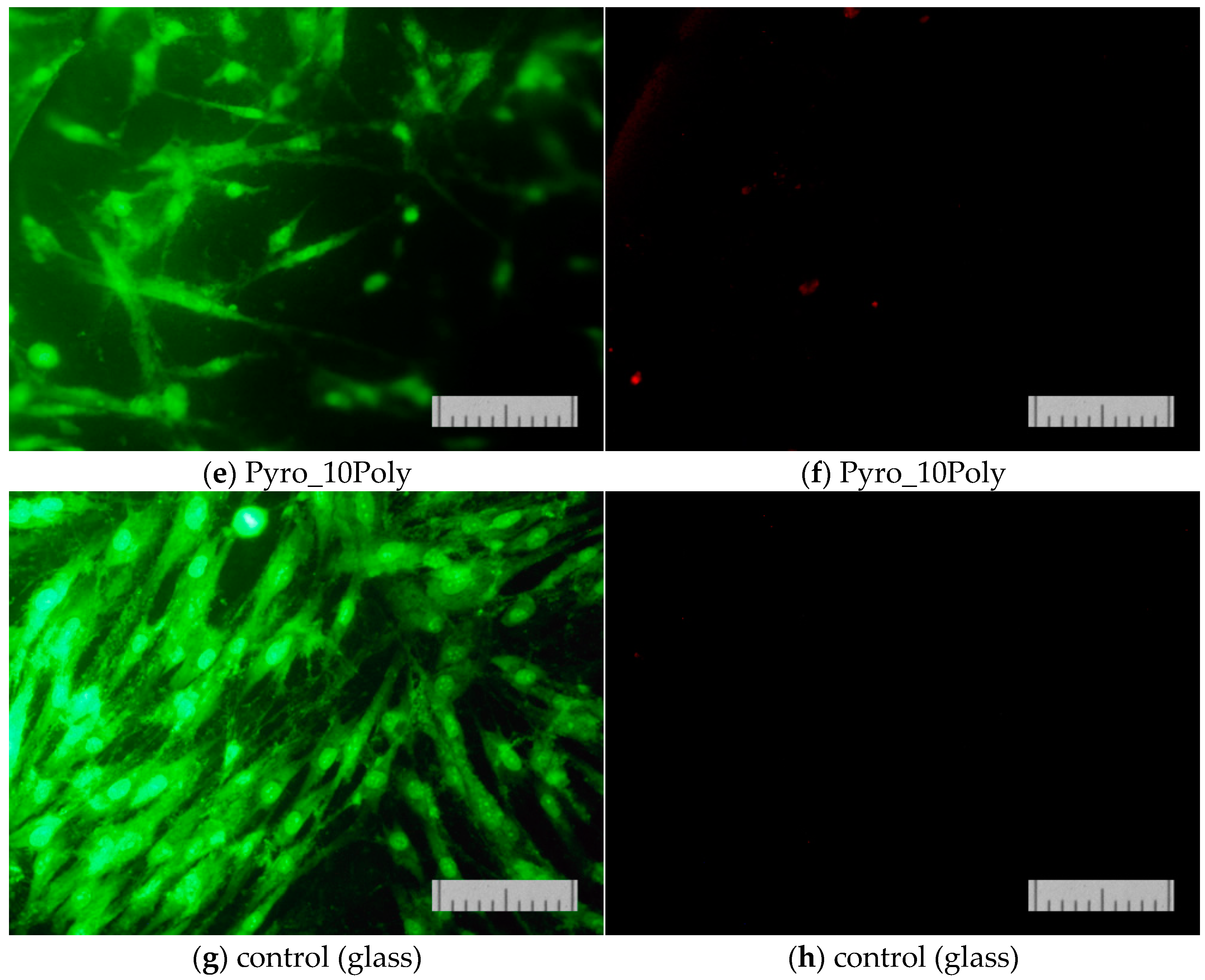 Materials 15 03105 g013b 550
