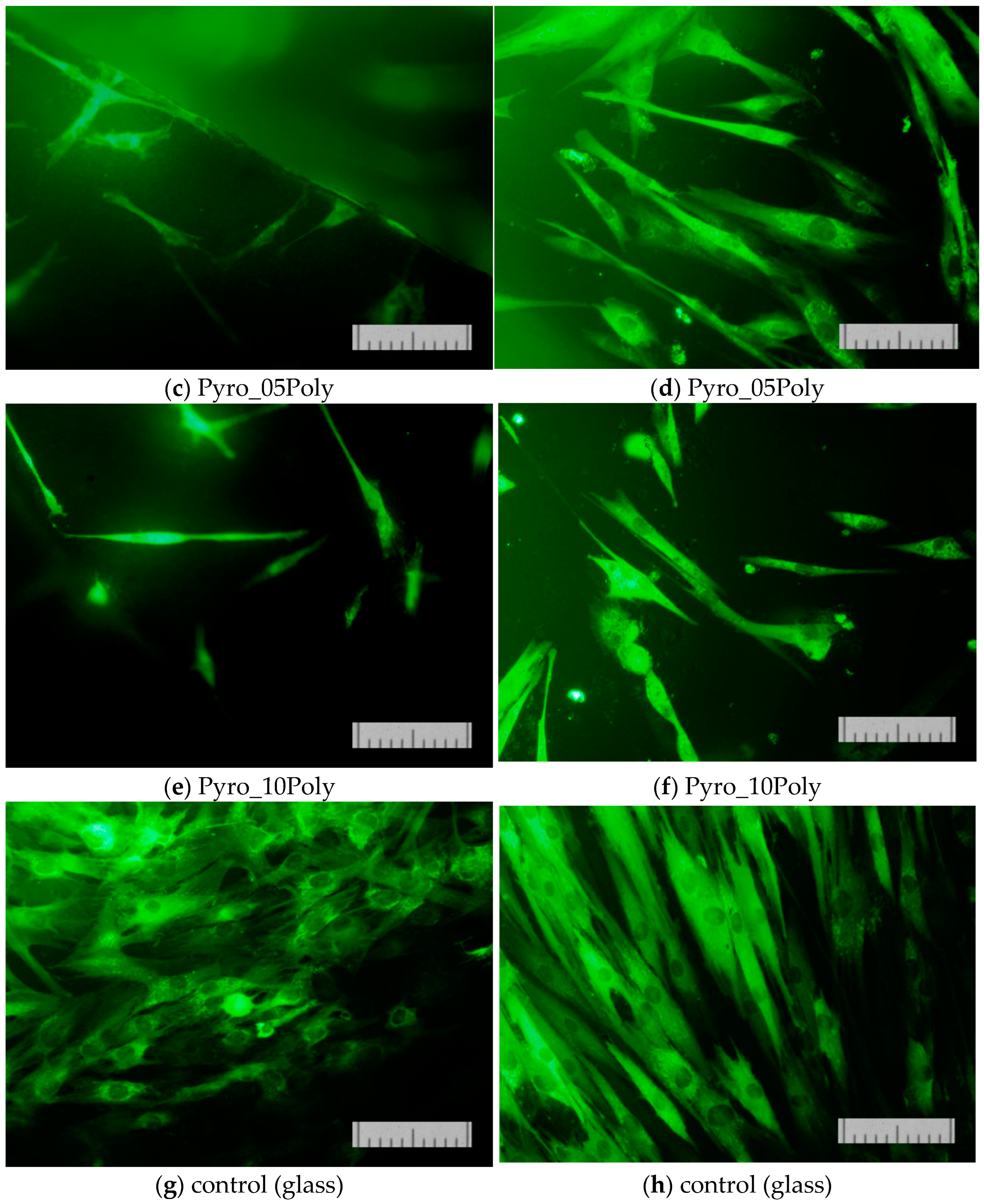 Materials 15 03105 g014b 550