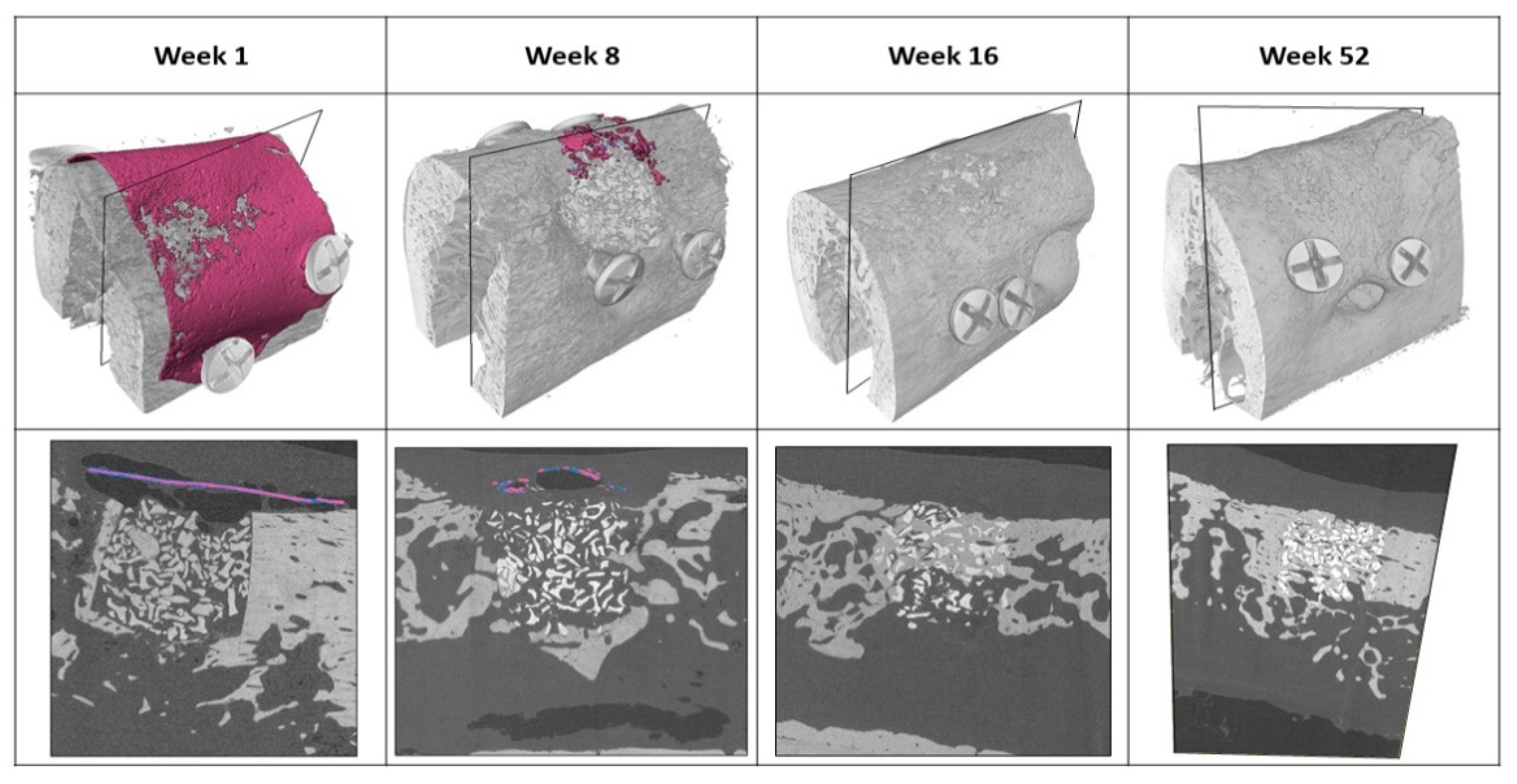 Materials 15 03106 g003 550