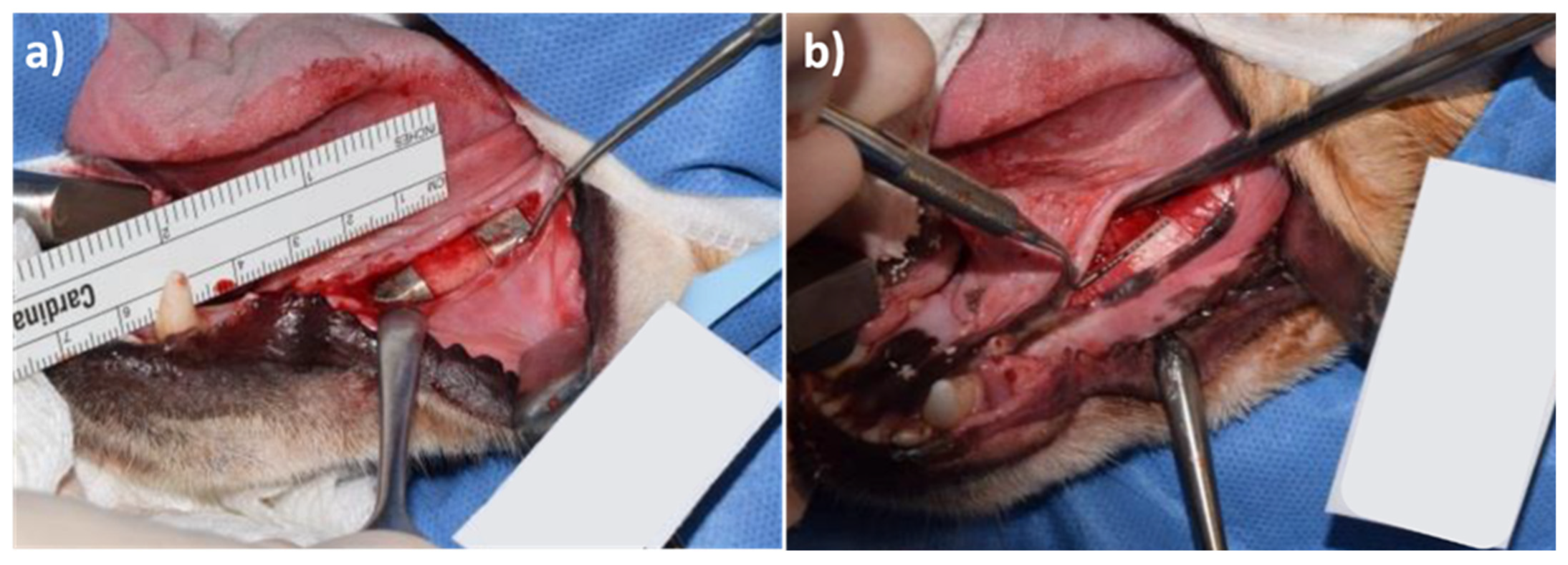 Materials 15 03106 g005 550