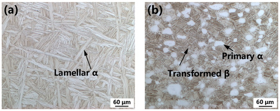 Chemical Composition, Microstructure, Tensile and Creep