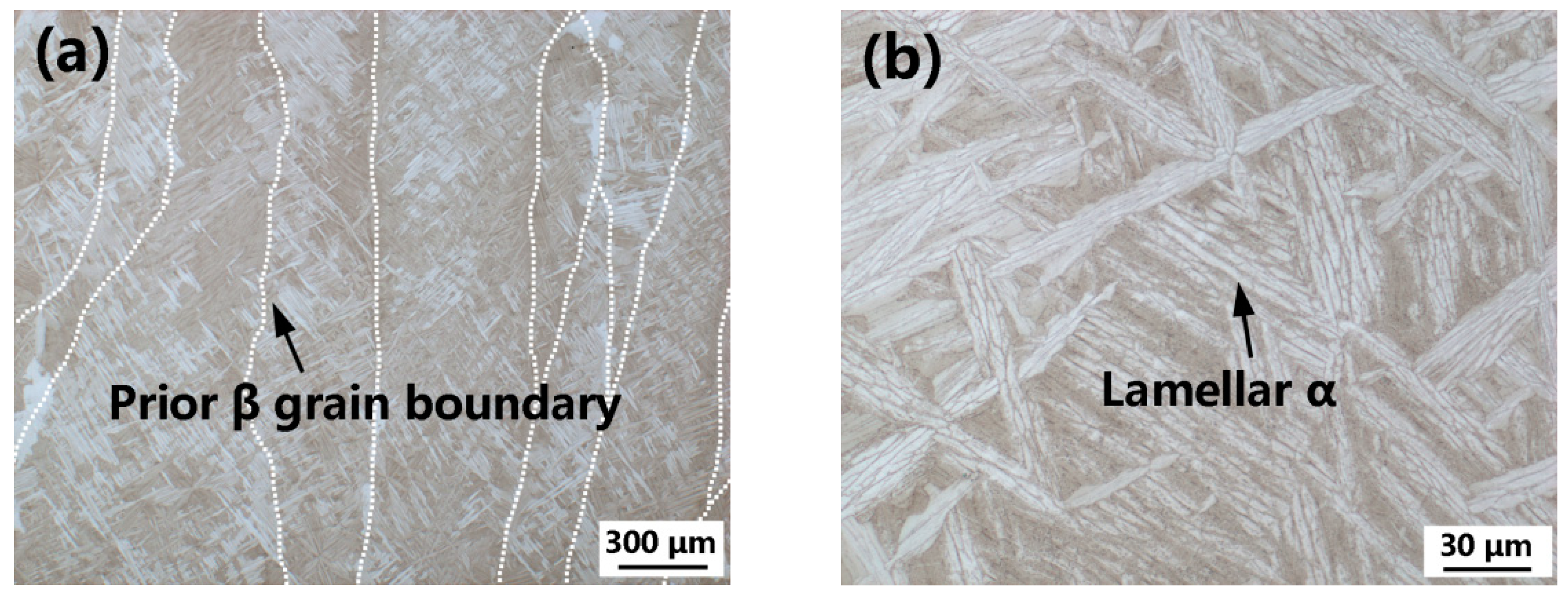 Materials 15 03109 g005 550