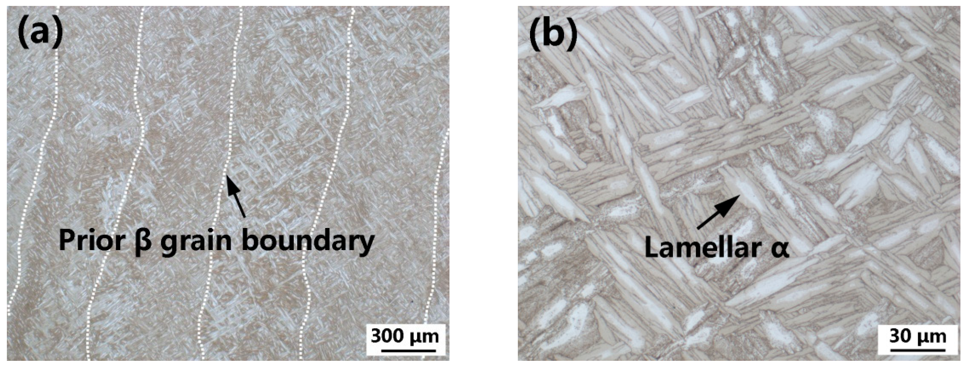 Materials 15 03109 g008 550