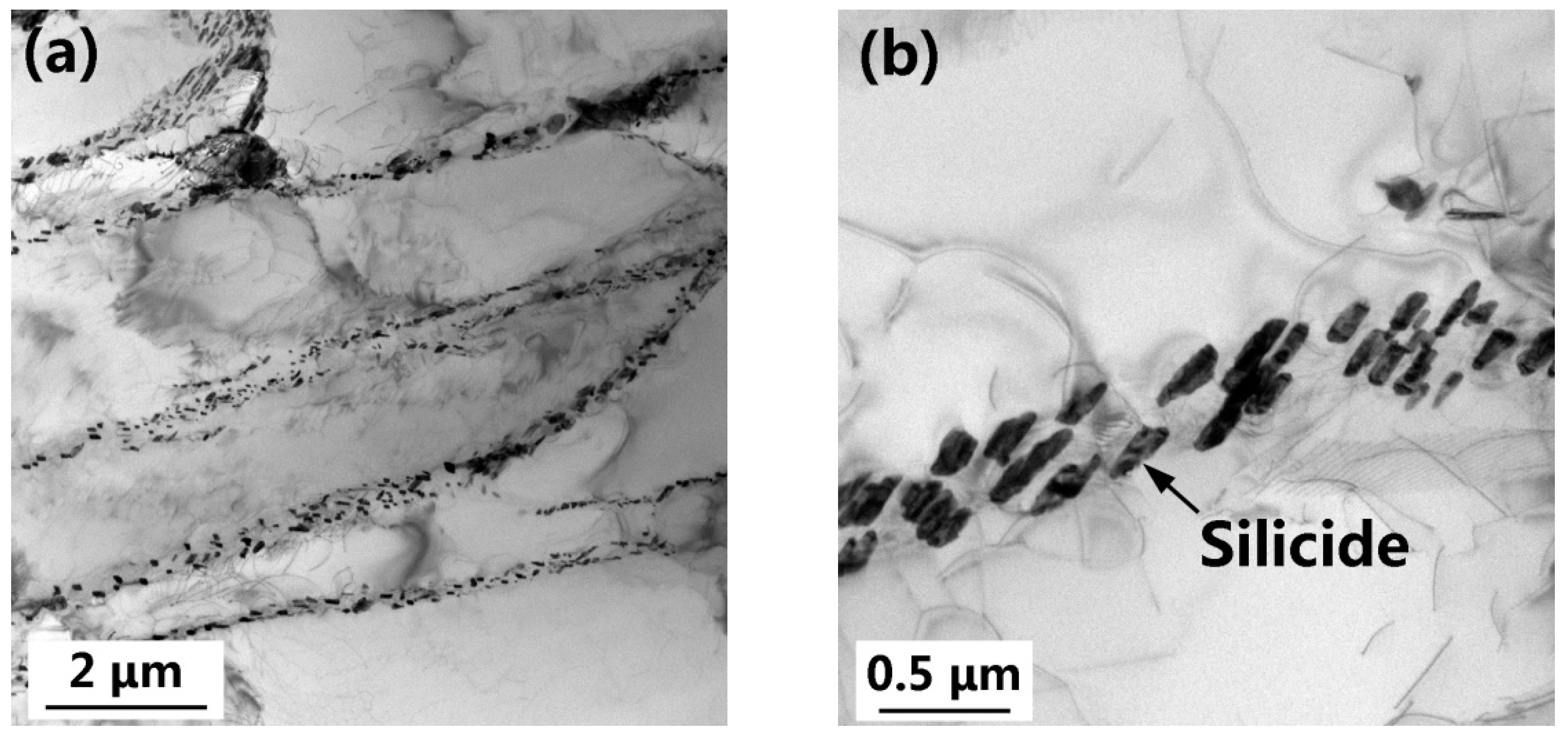 Materials 15 03109 g009 550